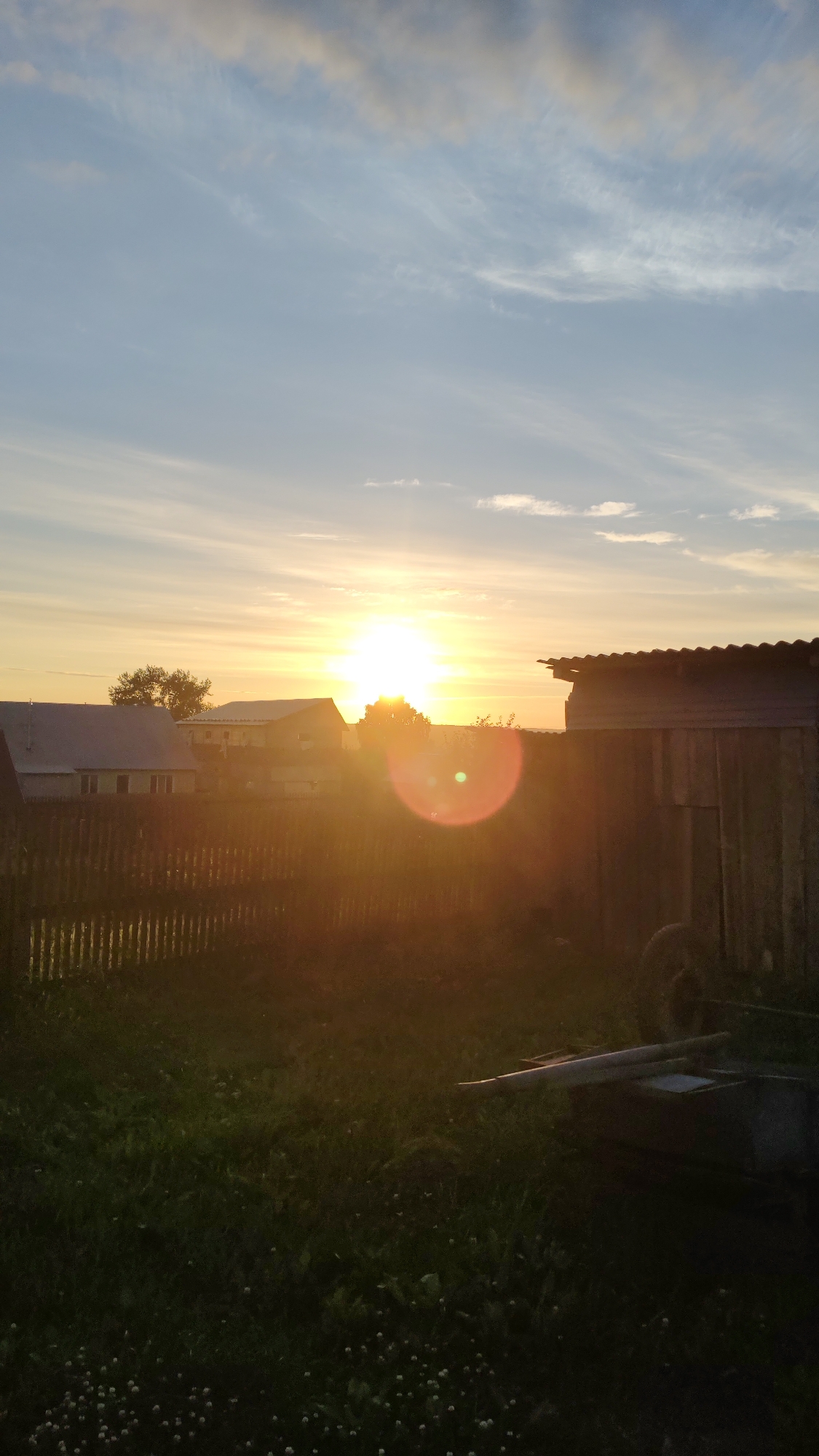 This is a vertical, full shot of a rural scene at sunset. The sun, a brilliant golden orb, is low on the horizon, casting a warm glow and lens flare across the image. In the foreground, a dark, grassy yard with small white flowers is visible. A wooden fence runs horizontally across the middle ground, separating the yard from a row of houses and trees. The houses have light-colored roofs. To the right of the frame, a rustic wooden shed with a corrugated roof stands prominently. The sky above is a gradient of blue, with wispy clouds tinged with orange and yellow from the setting sun. The overall mood is peaceful and serene, evoking a sense of twilight in a quiet village. The location is identified as Yurla, Russia, suggesting a typical rural landscape.