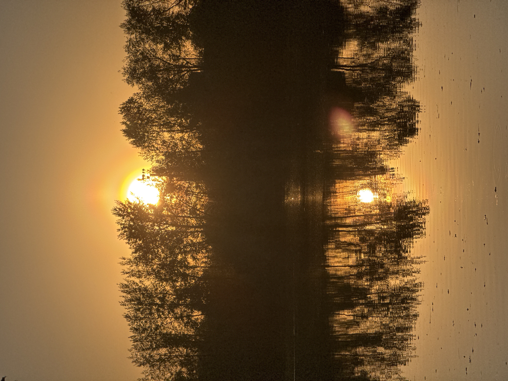 The image depicts a sunset reflecting on a body of water, likely a river or lake. Silhouetted trees are visible on the left side of the image, with their reflections mirrored in the water. The sun is setting behind the trees, creating a bright, golden glow. The location is possibly in Chaikovsky, Russia.