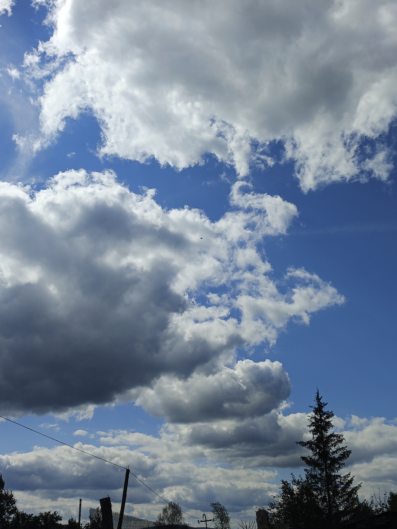 The image depicts a partly cloudy sky with a bright blue expanse visible. Large, fluffy cumulus clouds dominate the upper portion of the frame, casting shadows and creating variations in light. In the distance, two small dark specks are visible in the sky, potentially birds or distant aircraft. Below the sky, a silhouetted pine tree stands prominently on the right side of the image. In the lower portion of the frame, a power line stretches horizontally across the scene, supported by a dark wooden pole on the right. Trees and other vegetation are visible in silhouette against the bright sky, suggesting a rural or semi-rural environment. The scene appears to be a daytime landscape, likely in Medvedyovka, Russia, given the information provided.