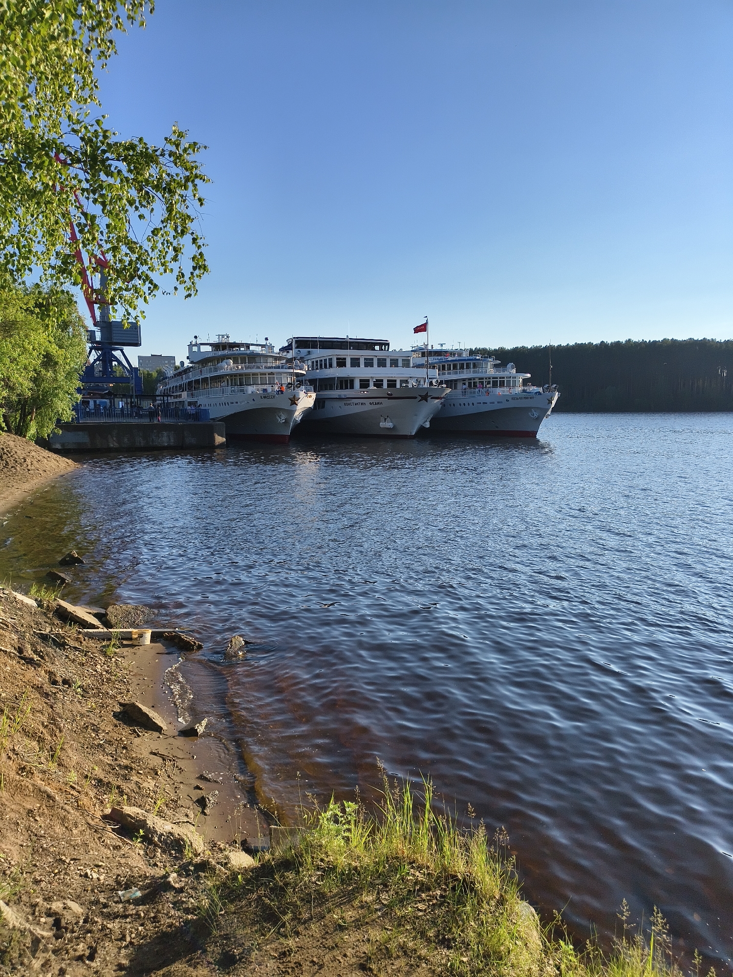 The image captures a serene riverside scene under a clear, bright blue sky, suggesting either morning or late afternoon. Three large river cruise ships are prominently docked side-by-side at a concrete pier. The foreground features a natural, earthy shoreline with patches of sand, small rocks, and green grass bordering the gently rippling water of the river.
On the left side of the frame, a segment of a blue and red gantry crane is visible, partially obscured by the lush green foliage of a tree. The ships themselves are predominantly white with dark windows and a red hull, characterized by multiple decks.
The closest ship clearly displays the name "М. МОИСЕЕВ" (M. MOISEEV) and a red star emblem on its bow. Small figures are visible on the ship's upper deck or the pier beside it. The second ship from the left has "КОНСТАНТИН ФЕДИН" (KONSTANTIN FEDIN) painted on its side. The third ship, docked further to the right, shows "МИНИН" (MININ) on its bow and also features a red star. A red flag with a yellow star is flying from the mast of one of the ships. In the distance, a dense line of green forest stretches along the opposite bank of the wide river, completing a peaceful natural landscape with industrial elements.