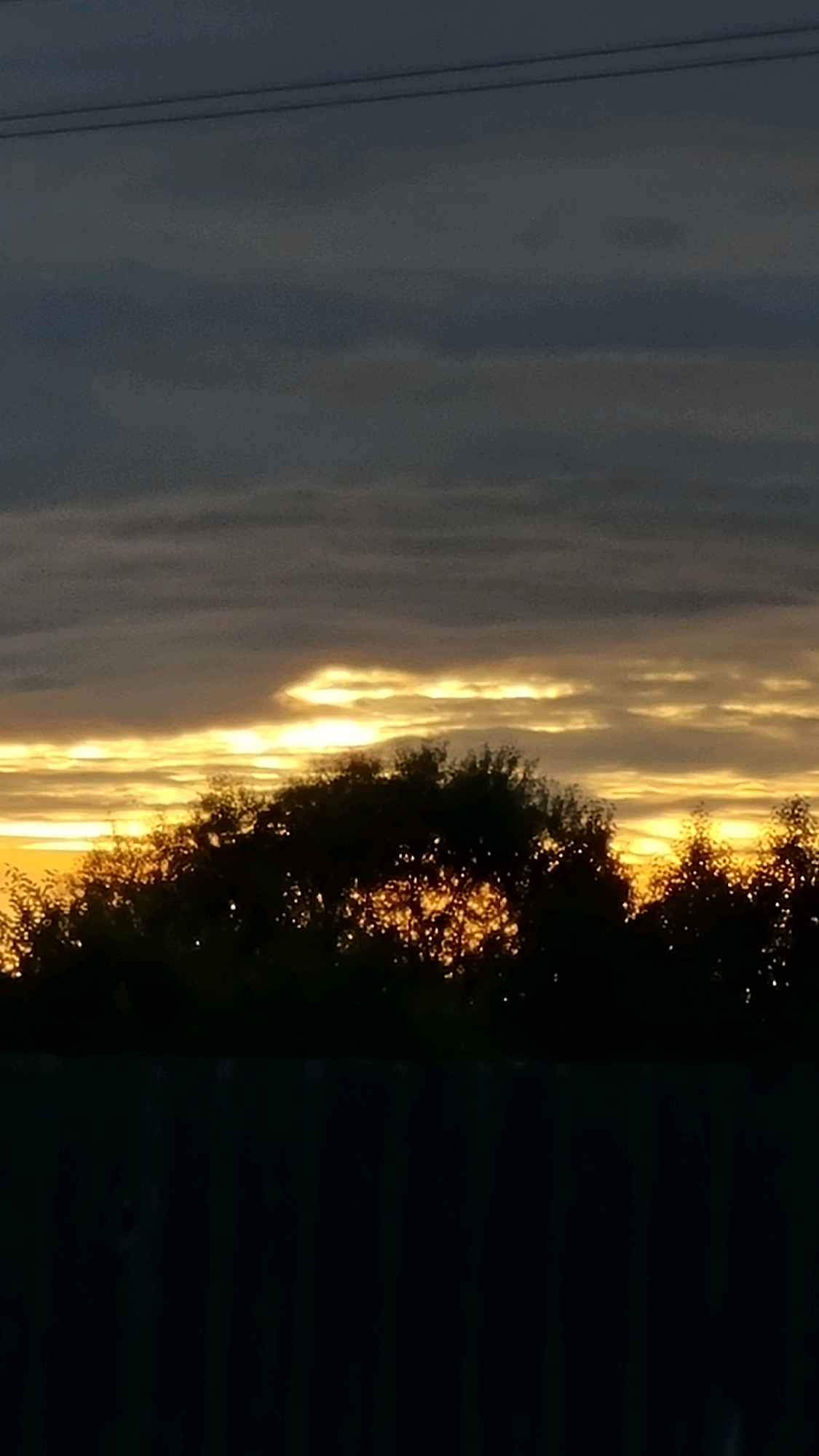 An outdoor vertical shot captures a twilight sky with dark clouds and streaks of bright orange light illuminating the horizon. Silhouetted against the vibrant sky is a dense line of trees, their branches and leaves appearing as dark shapes. Below the trees, a dark wooden fence runs horizontally across the bottom of the frame, its vertical planks barely visible in the dim light. The image appears to be a photograph taken in Vysokoe, Russia, as indicated by the user's prompt, depicting a natural landscape at dusk.