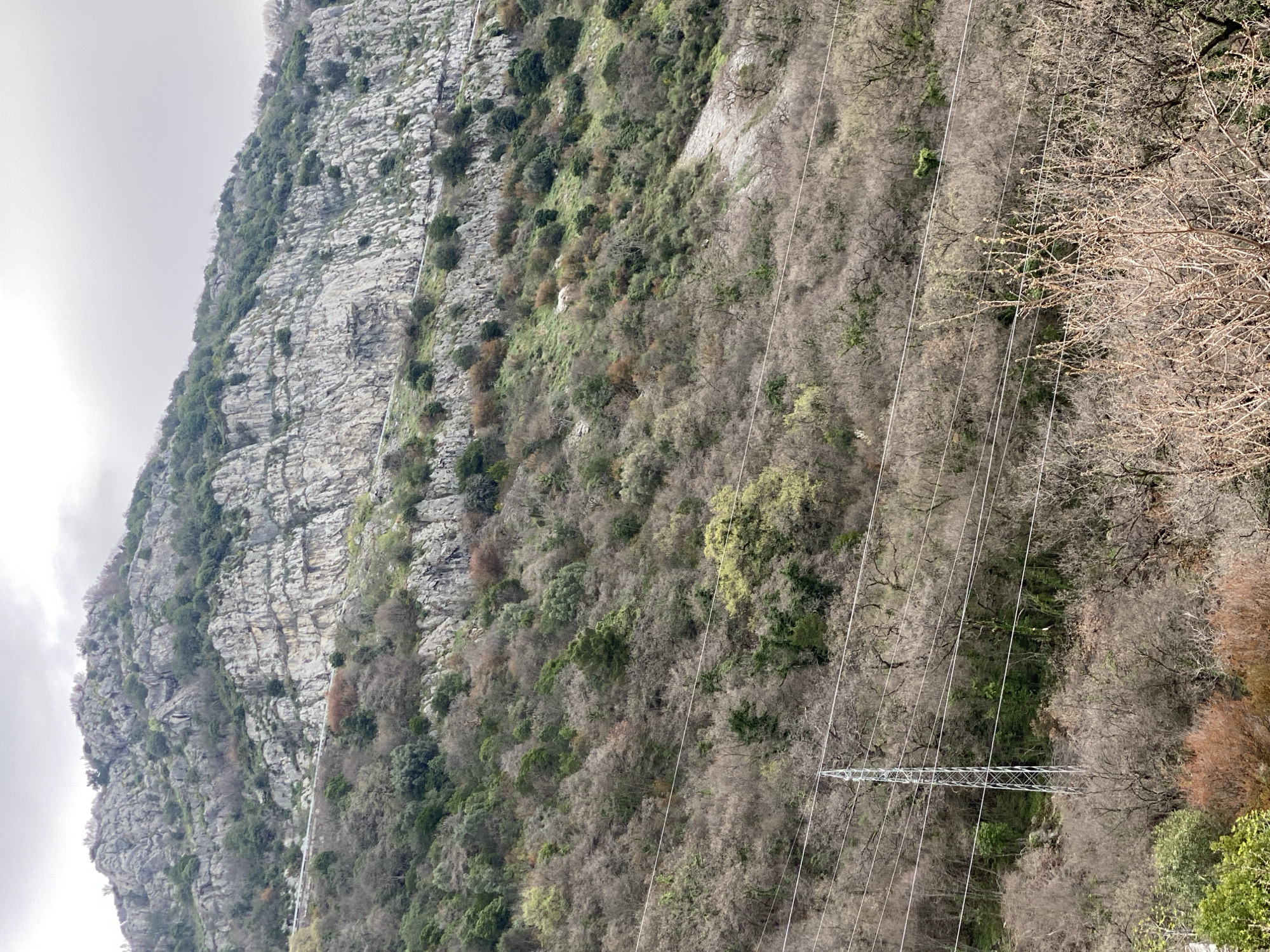 The image shows a mountainside landscape near Budva, Montenegro. A prominent rock face is visible on the left side of the frame. Vegetation consisting of a mix of trees, shrubs, and greenery covers the middle portion of the mountain slope. Power lines and a transmission tower cut across the landscape on the right side. Some trees on the far right lack foliage. The sky appears overcast.