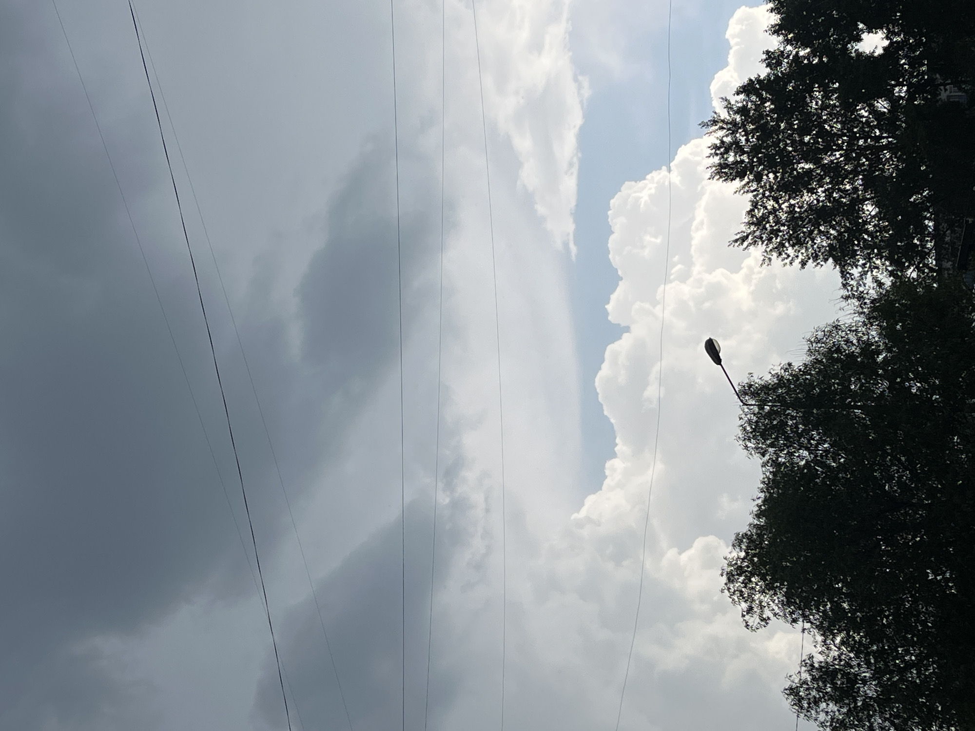 The image depicts a cloudy sky over a silhouette of trees, with power lines stretching horizontally across the frame. A streetlamp is visible on the right side, partially obscured by the trees. The overall scene suggests an outdoor environment, possibly a park or a street in a city, under overcast or twilight conditions. The provided crops highlight sections of the sky, clouds, and the treeline, emphasizing the atmospheric conditions and the presence of man-made structures like power lines and a lamp post. Without further context or specific landmarks, pinpointing the exact location within Krasnoyarsk, Russia is not possible from the visual information alone.