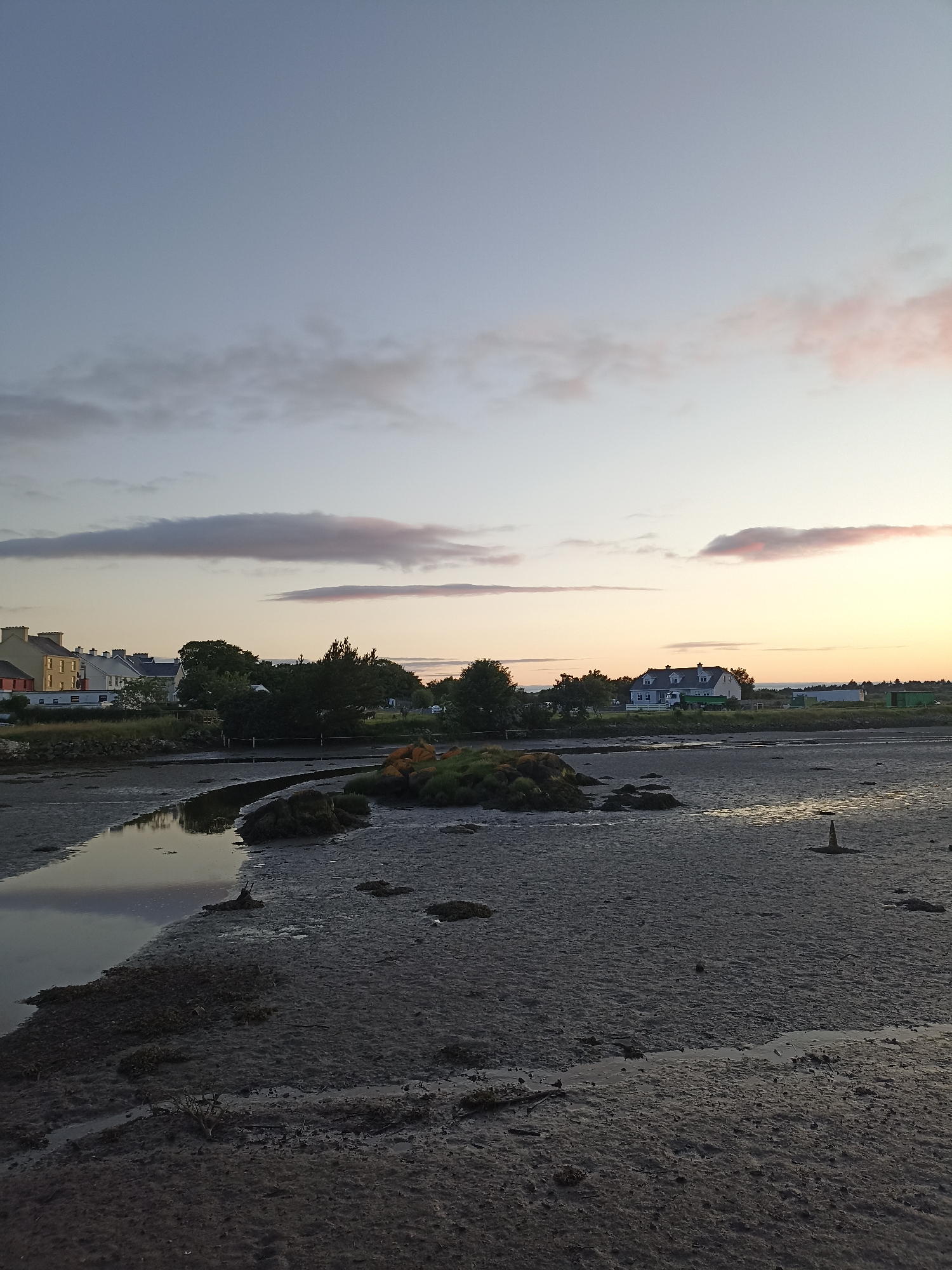 The image depicts a coastal landscape at dusk. The foreground is dominated by a muddy, exposed seabed with a small channel of water winding through it. Several dark, rocky outcrops and patches of seaweed are scattered across the mudflats. In the middle ground, a small island covered in green vegetation and orange rocks rises from the mud. Beyond this, a line of trees separates the coast from a settlement.
The settlement consists of several houses, predominantly two-story structures with pitched roofs. Some of these houses are painted in light colors like yellow and white, while others have darker roofs. A few trees are visible between the houses. Further in the distance, the sky transitions from a pale yellow and orange near the horizon to a soft blue at the top of the frame. Wispy clouds are scattered across the sky, some tinged with pink from the setting sun. The overall atmosphere is peaceful and serene. The image captures a quiet moment in a coastal town at the end of the day.