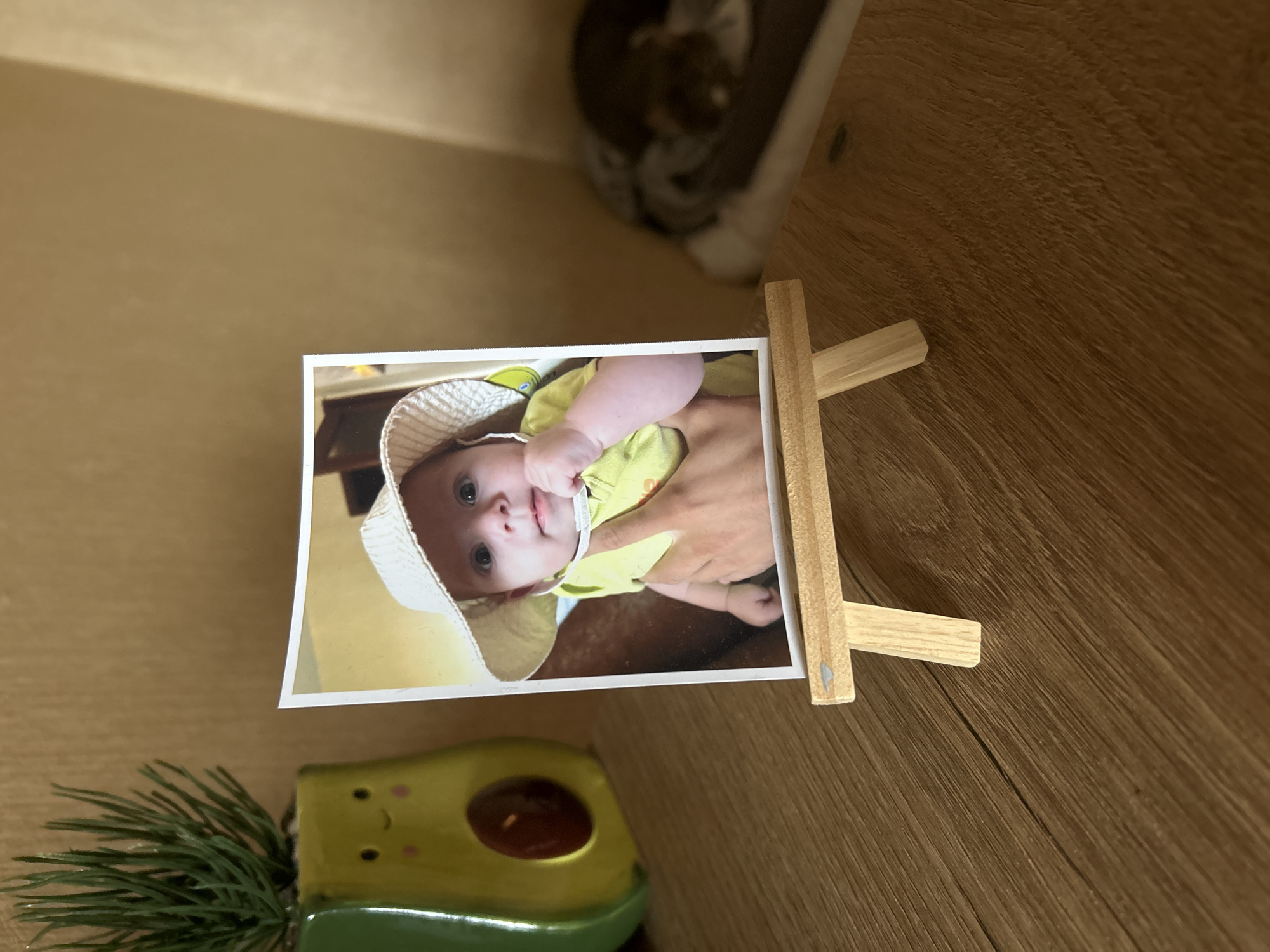 This media file presents an indoor scene in Sofia, Bulgaria, captured from a slightly elevated perspective looking down onto a wooden surface. The primary subject is a printed photograph displayed on a miniature wooden easel.
The photograph depicts a baby with light eyes, wearing a light-colored, possibly straw, bucket hat and a yellow garment. A portion of an adult's hand, presumably holding or supporting the baby, is visible in the lower right area of the photo. The baby appears calm, looking directly at the camera with a slight smile or neutral expression. The background within the photograph is a warm, light brown or beige color.
The wooden easel holding the photo is simple in design, made of light-colored wood. To the lower left of the easel and photograph, an avocado-shaped ceramic object is visible. It has a smiling face drawn on it, a darker center resembling a pit, and a small cluster of green, spiky foliage or pine needles emanating from its left side. This object appears to be a decorative planter or candle holder.
In the blurred background, to the upper right of the photograph, there is an indistinct object that appears to be a pet bed, possibly with a small animal, like a cat or dog, resting inside. The surface beneath all these items is a light to medium brown wood, exhibiting a distinct grain pattern, suggesting it could be a table or floor. The lighting is soft and ambient, characteristic of an indoor daytime setting. There is no visible text in the image.