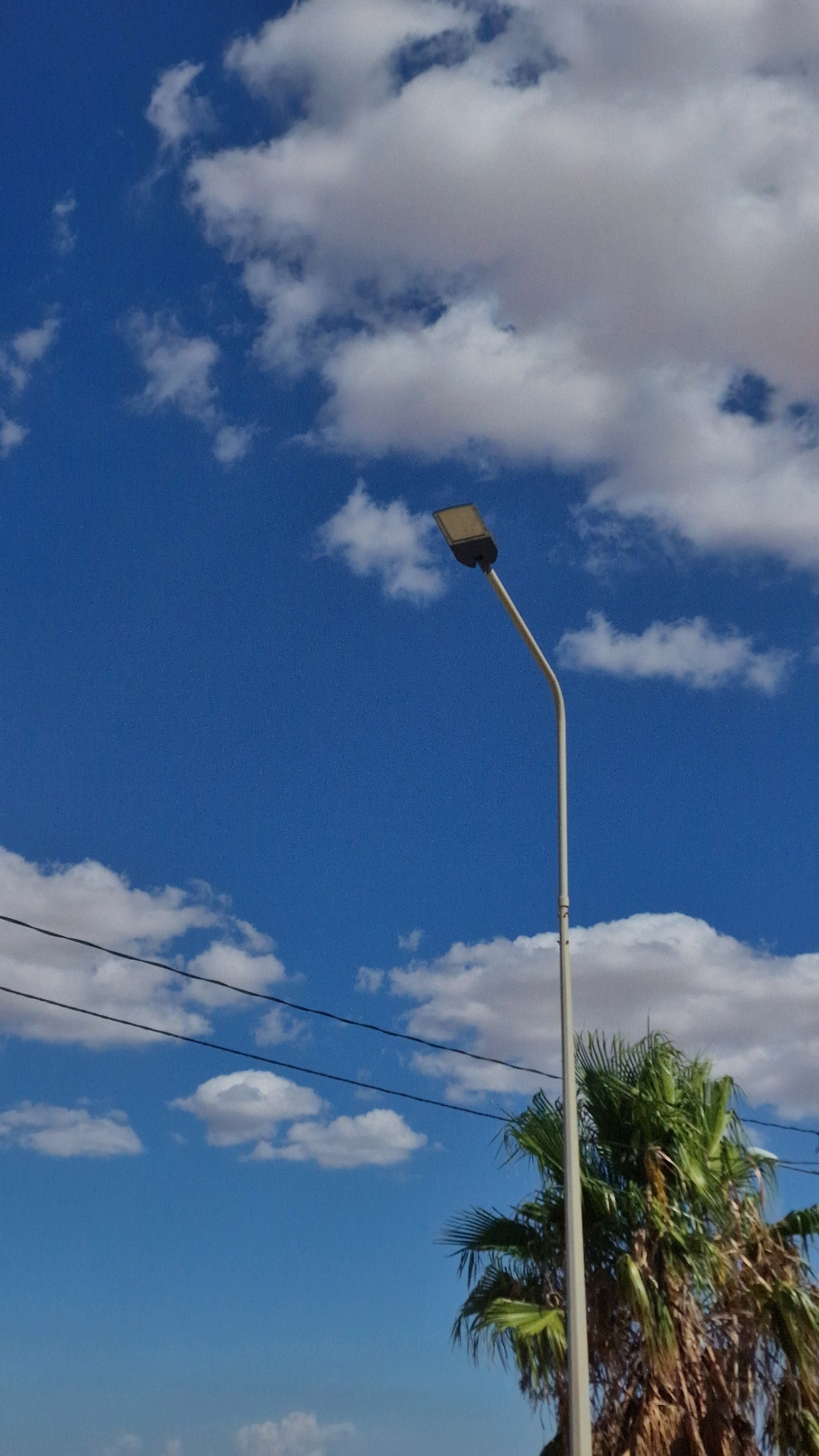 In Agareb, Tunisia, a solitary street lamp with a modern, rectangular luminary stands tall against a vibrant, cloud-dotted blue sky. Its pole, a pale, weathered beige, curves gently, reaching towards the sky. Below, the fronds of a date palm tree, their green sharply contrasted against the rustic brown of its trunk, peek into the frame from the lower right. Overhead, two dark power lines crisscross the sky, a subtle reminder of urban infrastructure against the natural backdrop. The scene captures a moment of quietude, a blend of the man-made and the natural, under a clear Tunisian sky.