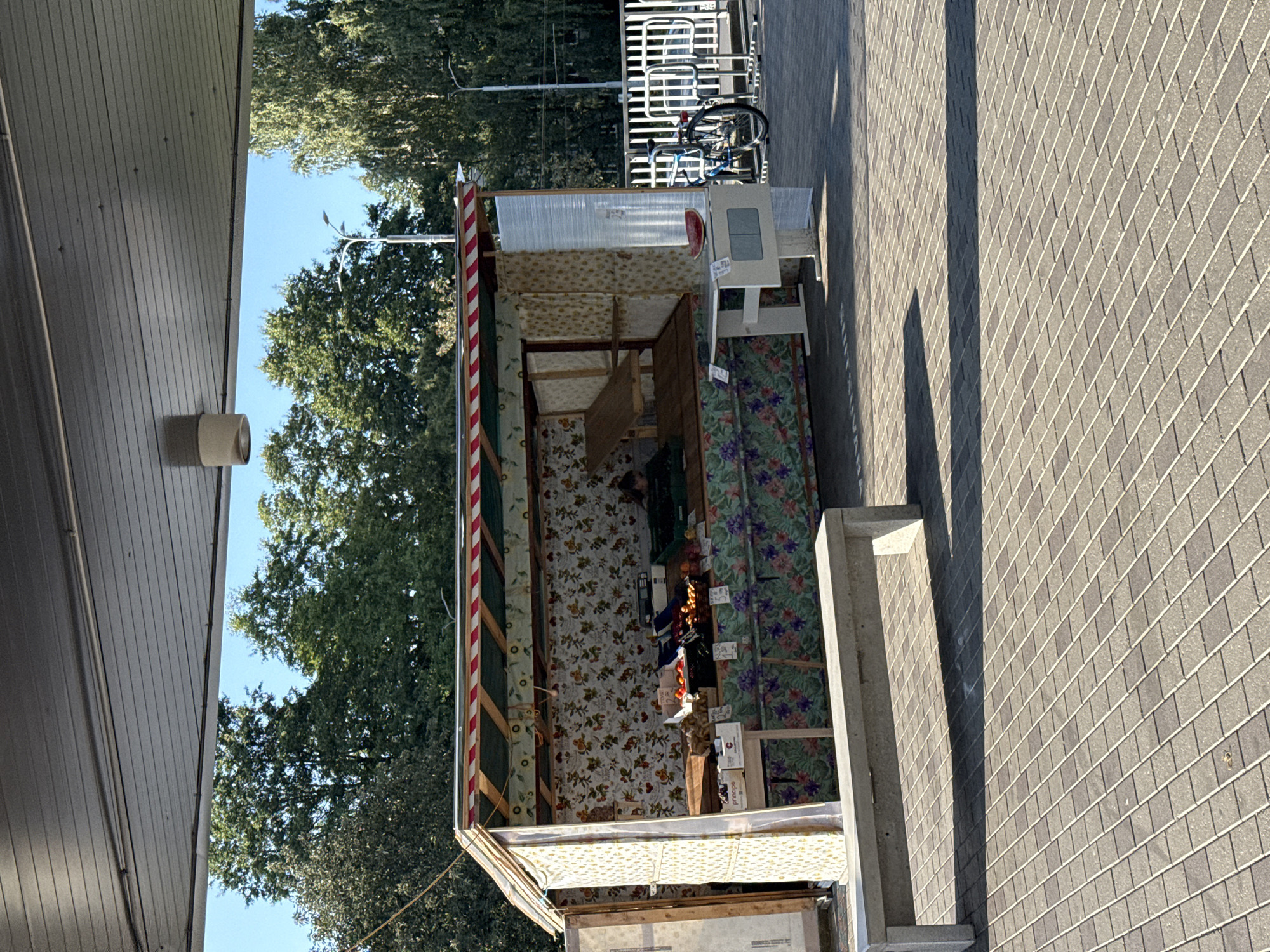 The image shows an outdoor market stall in Tallinn, Estonia. The stall is covered by a striped awning and decorated with floral fabric. It displays various fruits and vegetables, including tomatoes, peaches, and grapes. A person is seated inside the stall. To the right of the stall, a bicycle is parked next to a white metal fence. The ground is paved with rectangular tiles, and a concrete bench is visible in the foreground. Trees and a street light can be seen in the background. The sun casts shadows across the paved area.