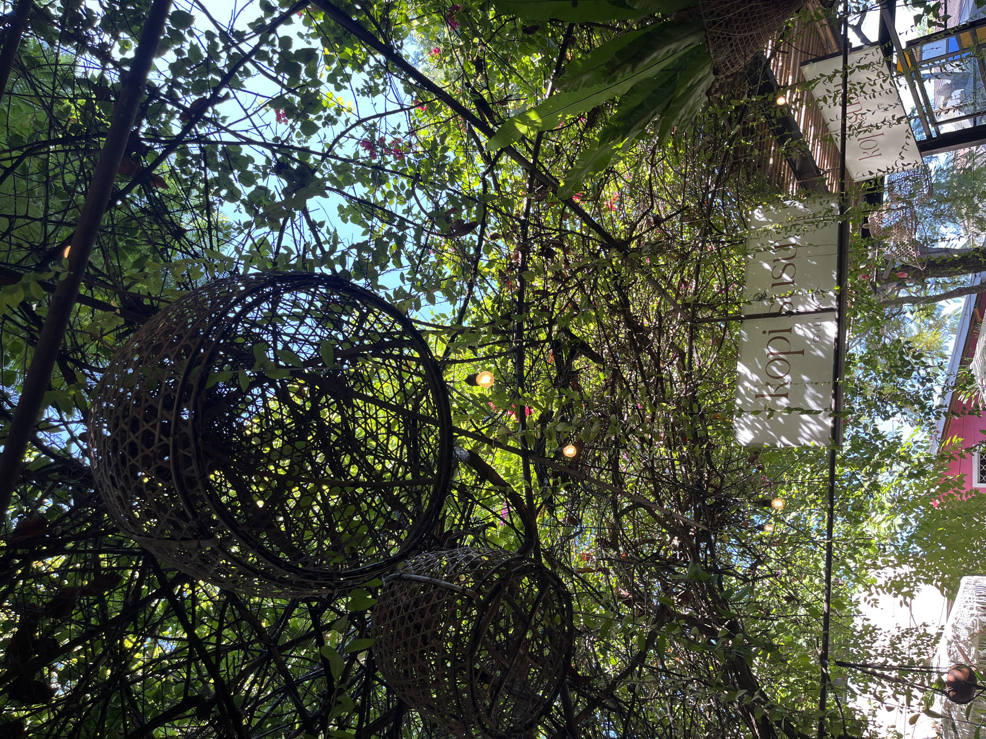 Captured from a low angle in the city of Unknown, Indonesia, the scene reveals a canopy of intertwined foliage, branches, and vines against a backdrop of a clear blue sky. Two woven, spherical structures hang suspended within the vegetation, their open latticework design allowing glimpses of the sky and greenery beyond. Interspersed among the branches are a few small, lit light bulbs, adding a touch of illumination. A white sign, featuring lettering that appears to read "kopi susu", is partially visible and slightly obscured by the surrounding foliage. The presence of plants and sign gives the impression of an open-air restaurant or cafe.