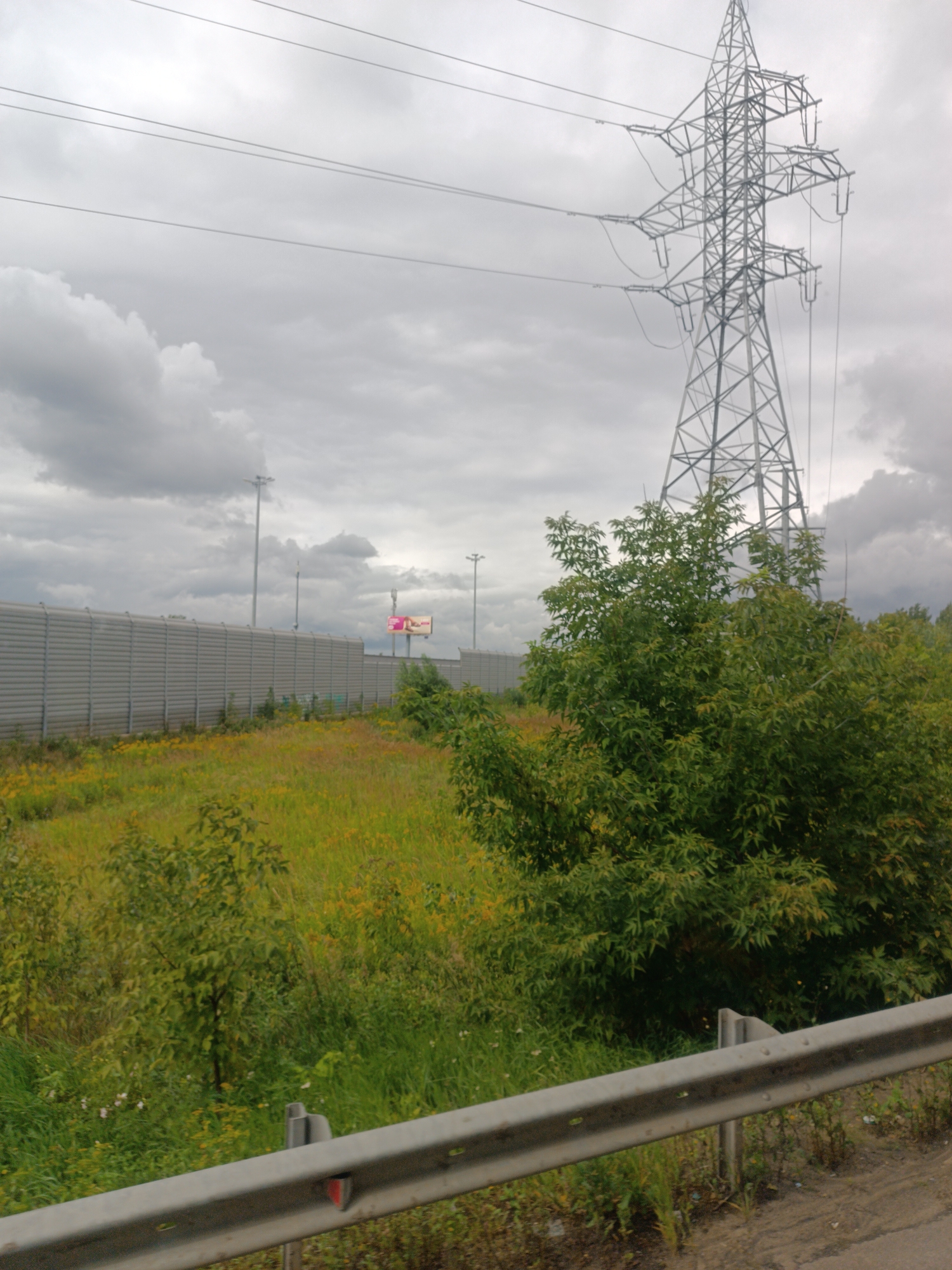 The image depicts an outdoor scene with a large metal electricity pylon as the dominant structure against a cloudy sky. In the foreground, a metal guardrail runs horizontally across the frame. Behind the guardrail is a field of green grass and yellow wildflowers, with several bushes and small trees scattered throughout. A long, ribbed metal sound barrier stretches across the middle ground, parallel to the guardrail. In the far background, beyond the sound barrier, a billboard is visible. The scene is static, with no visible people or animals. The overall environment appears to be a roadside or open area near a developed infrastructure, possibly an industrial zone or highway. The image does not provide any specific visual cues to pinpoint its location within Chkalovo, Russia.
