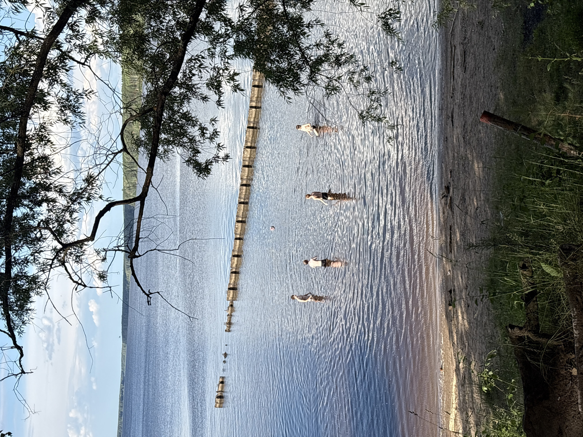 The image depicts a serene natural scene on a sunny day. In the foreground, a sandy beach is covered with dry grass and fallen branches, with a weathered wooden post partially visible. Beyond the beach, a vast, calm body of water stretches out, its surface rippling gently. The water appears to be a lake or a wide river.
In the mid-ground, several individuals are wading in the water, appearing to be enjoying the cool temperatures. There are at least four people visible. Two individuals are closer to the shore, one standing with their back to the camera, wearing dark shorts, and another facing forward, also in dark shorts. Further out in the water, two more figures are partially submerged. One appears to be walking, and another is further to the right. A pinkish-white ball is floating on the water surface near these individuals.
In the background, a long, narrow structure, possibly a breakwater or a submerged pier, runs horizontally across the water. It is composed of rectangular concrete blocks. The far shore of the water body is lined with dense green trees, suggesting a forest or woodland. The sky above is a mix of blue with scattered white clouds.
The overall impression is one of a peaceful, recreational day at a natural waterfront location. The presence of the wooden post and the construction in the water may suggest a developed area or a former structure, but the scene is largely dominated by the natural elements of water, sky, and vegetation. This appears to be a scene from the city of Chaikovsky, Russia, given its geography and typical waterfront recreational areas.