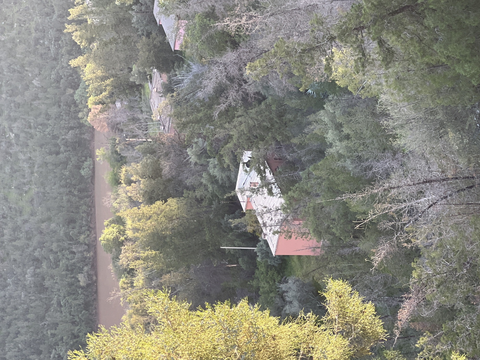 The image depicts an aerial view of a forested area adjacent to a river or waterway, likely in the city of Bin El Ouidane, Morocco. The river is a muddy brown color. A red-roofed building is visible among the trees. Power lines are also visible above the trees.