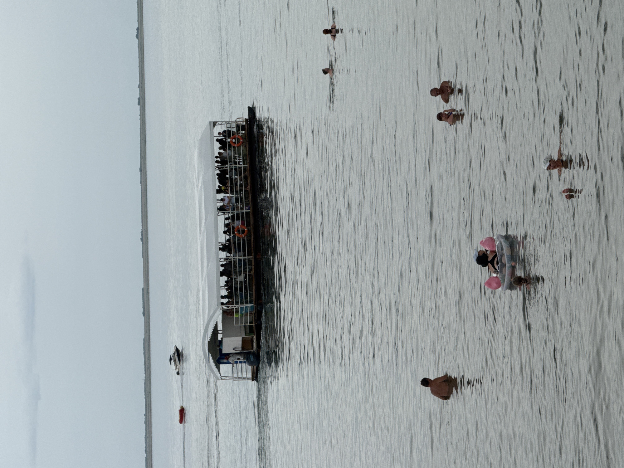 The image depicts a view of Lake Bolshoye in Yarovoye, Russia, on an overcast day. A large, flat-bottomed boat with a white canopy is cruising on the water, carrying numerous passengers who are standing and observing the surroundings. In the foreground, several individuals are swimming and enjoying the water. One person is swimming alone, while another is in an inflatable tube with two children. Further out in the lake, more swimmers are visible. A speed boat is seen in the distance, towing a red inflatable tube. The horizon shows a thin strip of land under a grey sky.