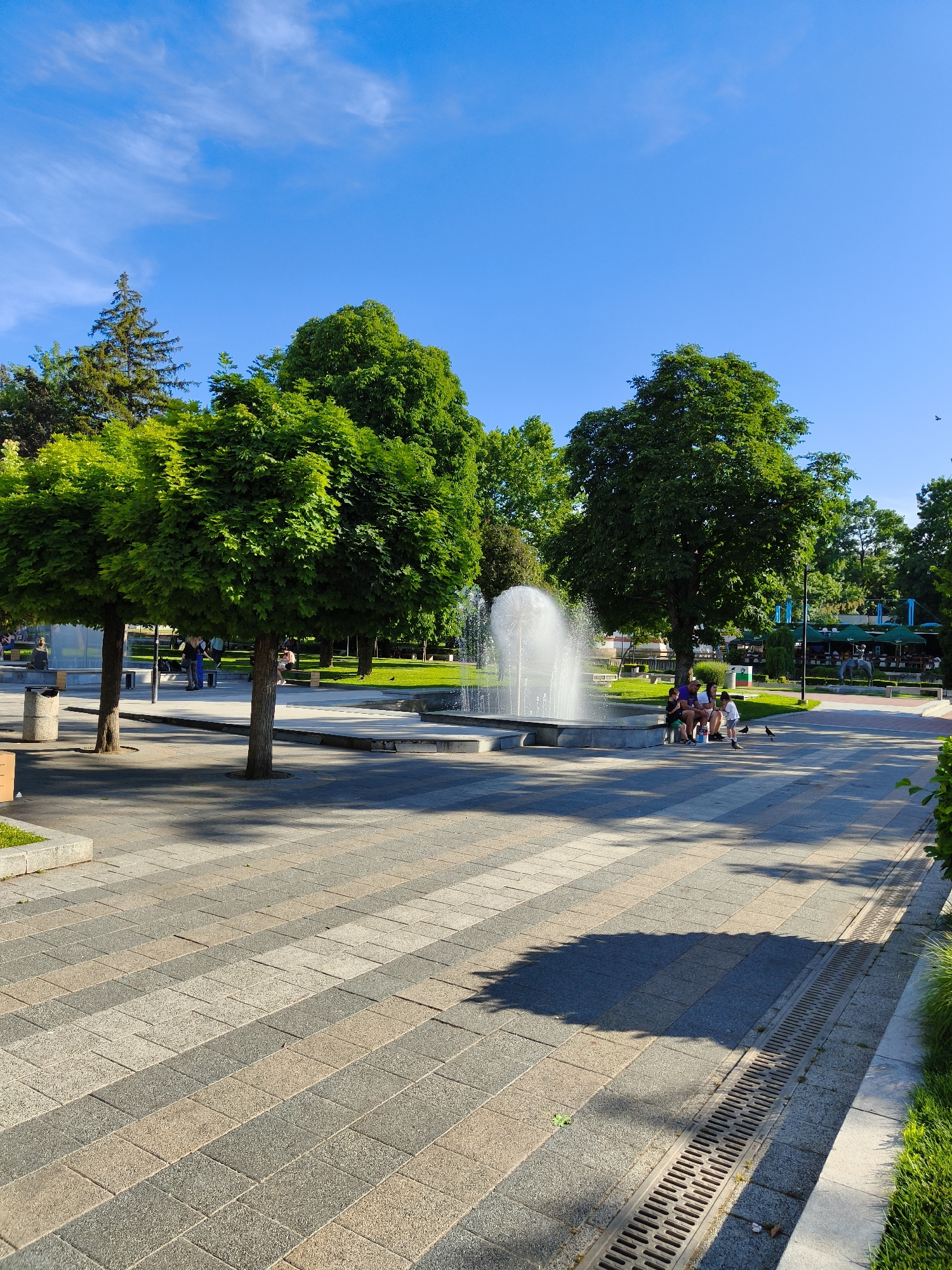 The image depicts a sunlit park scene in Pleven, Bulgaria, under a bright blue sky with scattered white clouds. The foreground features a paved walkway with a distinctive pattern of alternating light and dark grey square and rectangular tiles, laid out in diagonal rows. A linear drain runs along the right edge of the walkway, bordered by lush green grass.
In the middle ground, a modern fountain with multiple jets sprays water upwards, creating a dynamic visual element. Around the fountain, there is a grassy area and several trees with dense, green foliage. Two of these trees, closer to the foreground, have distinctive rounded canopies and visible trunks.
Several people are visible in the park, enjoying the pleasant weather. A family of four is seated on the edge of the fountain, with two adults and two children. Further back, more people are seated on benches or walking, suggesting a leisurely atmosphere. In the background, there are more trees, buildings that appear to be cafes or restaurants with awnings, and park benches.
The lighting suggests it is daytime, likely late morning or early afternoon, given the angle of the shadows cast by the trees on the walkway. The overall mood is peaceful and serene, characteristic of a public park on a nice day. No text is visible in the image.