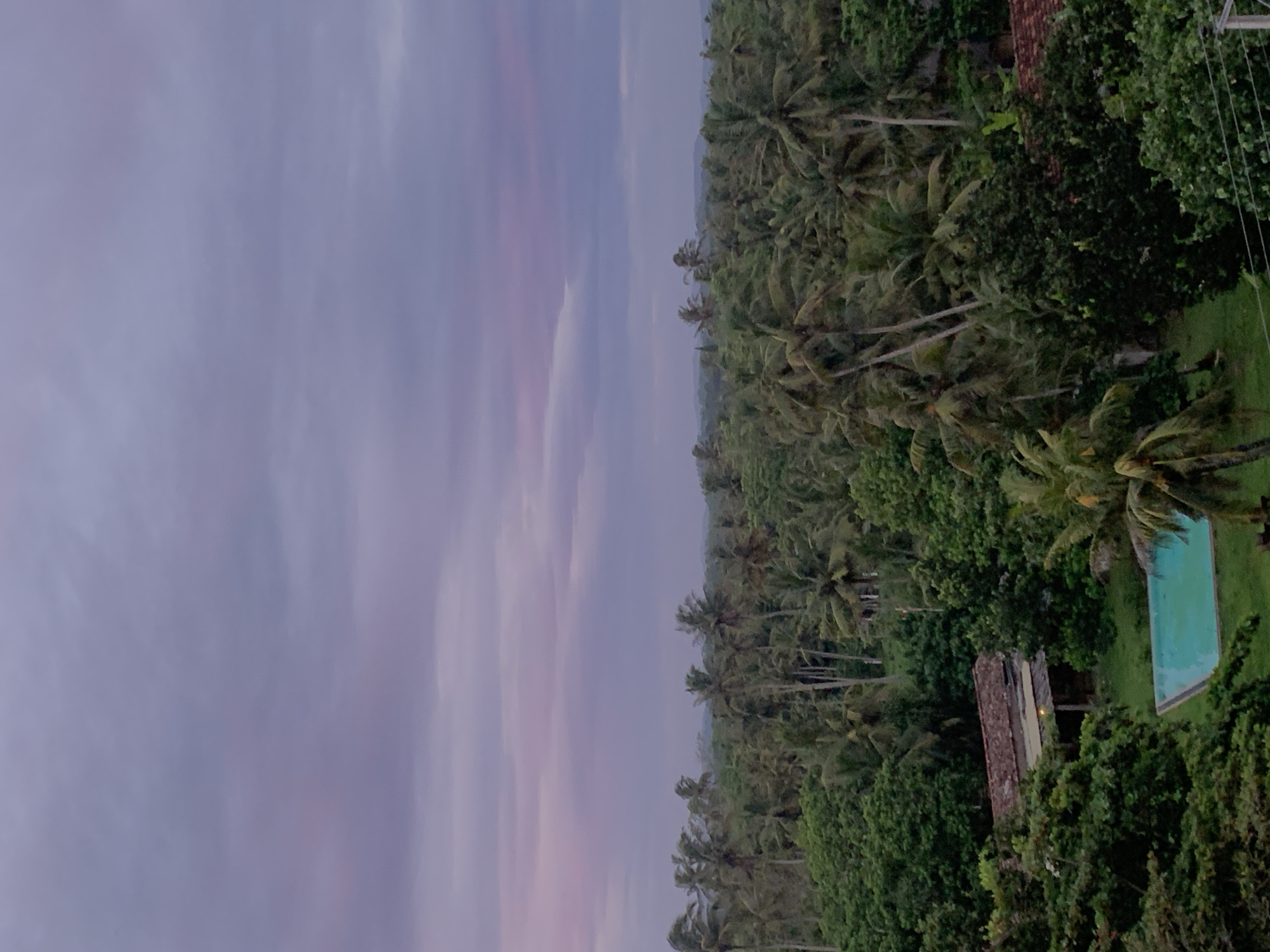 The image depicts an aerial view of a dense tropical forest dominated by numerous palm trees, likely coconut palms given the location. In the foreground, a rectangular swimming pool with turquoise water is situated on a grassy area adjacent to a weathered building with a red tiled roof. The building appears to be a dwelling or guesthouse. The environment is lush and green, suggesting a humid climate. The sky above is overcast with purplish and pink hues, indicating either dawn or dusk. The scene is tranquil and serene, with no visible human activity. The location is specified as Kathaluwa, Sri Lanka, a coastal town known for its tropical vegetation and traditional architecture.