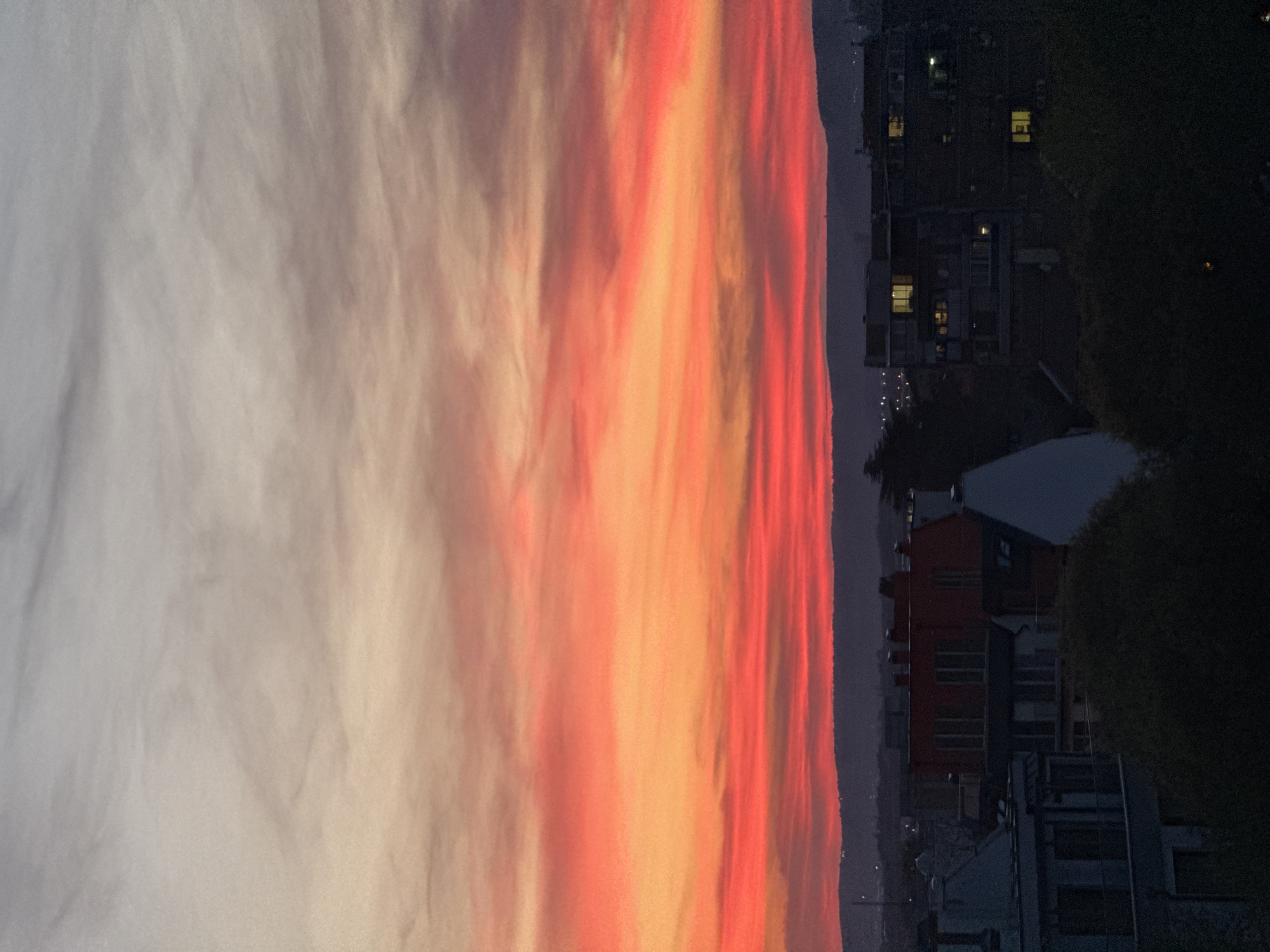 The image, correctly oriented, displays a dramatic sunset or sunrise over an urban landscape, consistent with a coastal city like Varna, Bulgaria. The sky occupies the majority of the frame, showcasing a spectacular array of colors. Long, streaky clouds are illuminated in vibrant shades of fiery red, intense orange, and warm yellow, transitioning to softer pinks and grays towards the left side of the image. The clouds appear layered, effectively capturing and reflecting the golden hour light.
Below the vivid sky, the cityscape forms a dark silhouette along the horizon. Buildings, some with visible illuminated windows, are discernible on the right side, suggesting residential or commercial activity. Dark, indistinct shapes of trees and foliage are present, particularly on the right, further obscuring the foreground details. In the distance, faint specks of light hint at a broader urban sprawl. The overall scene conveys a sense of awe and tranquility, highlighting the natural beauty of the sky contrasting with the silhouette of the city. No text is visible in the image.