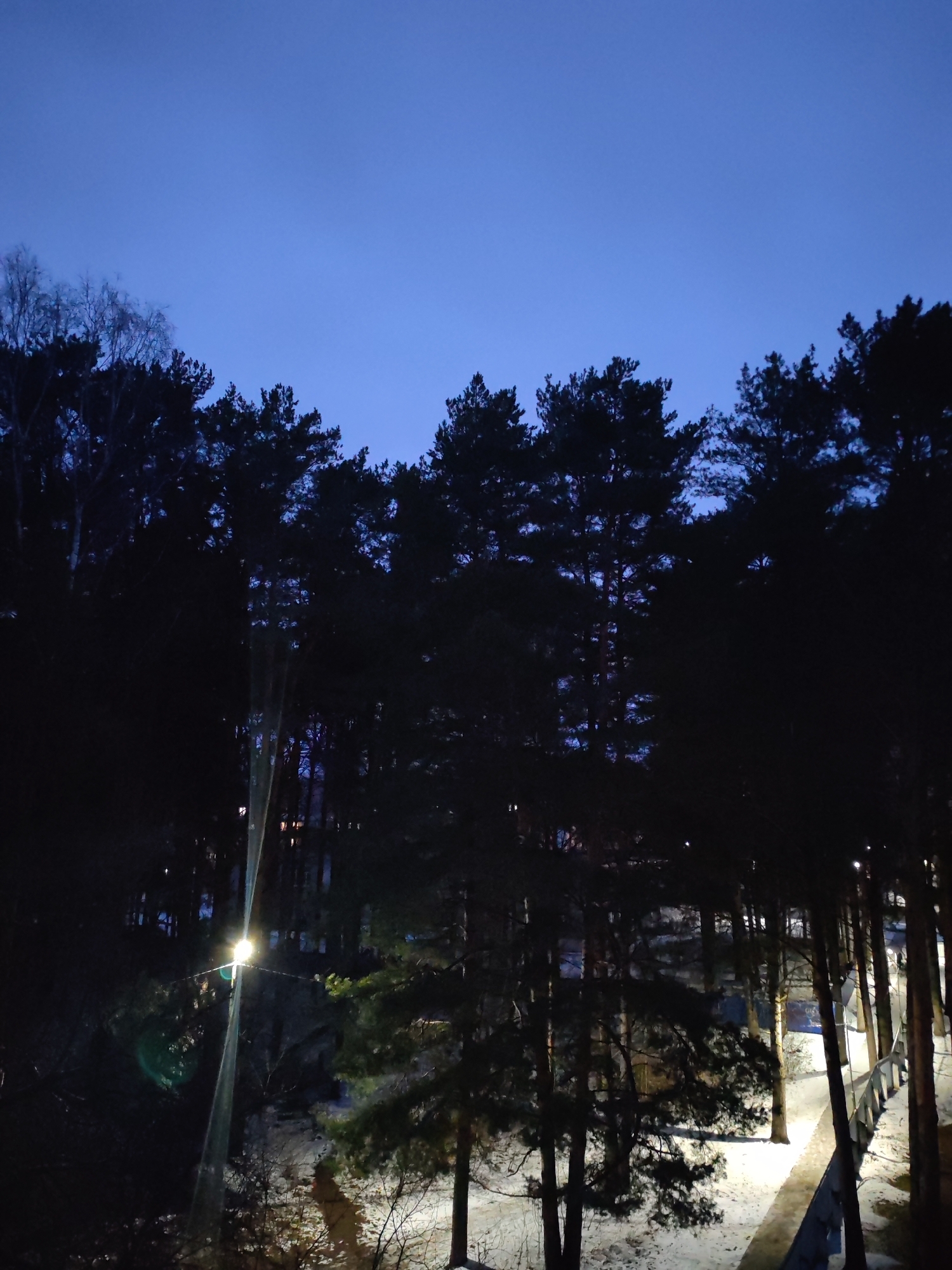 The image shows a winter scene in the city of Chaikovsky, Russia, at night. The foreground features a snow-covered ground with bare trees and shrubs. A lit pathway with a railing is visible on the right side, and there are trees on both sides. In the background, there is a line of dark coniferous trees silhouetted against a dark blue sky. A street light is present on the left side of the image, illuminating the surrounding area. The light is attached to some cables. The scene is dimly lit, with artificial light sources providing the only illumination.