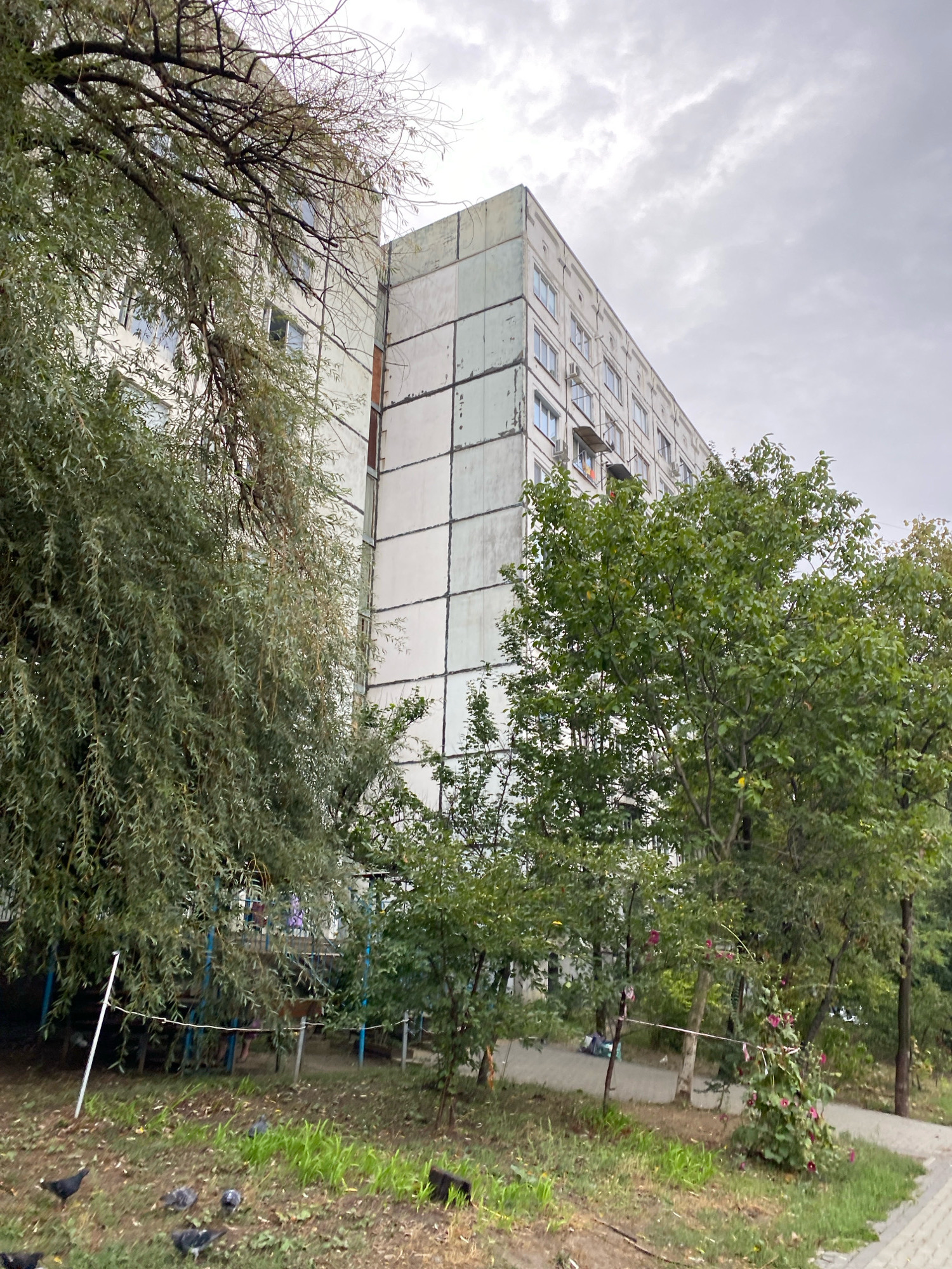 The image captures a grey, overcast day in Chișinău, Moldova, with a focus on a utilitarian apartment building. The building, typical of Soviet-era architecture, is constructed with concrete panels and features numerous windows. A large, leafy tree with long, drooping branches partially obscures the left side of the building, while a smaller, denser tree stands in front of the right side. The ground in front of the building is covered with patchy grass, fallen leaves, and a dirt path. Several pigeons are visible on the ground. In the background, behind a low fence and some smaller trees, a children's playground can be partially seen. The overall impression is one of a slightly neglected urban environment.