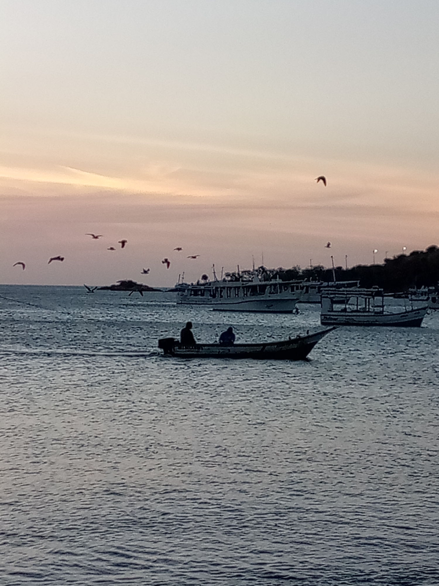 The image depicts a seascape at dusk in Juan Griego, Venezuela. A small motorboat with two people aboard is in the foreground, moving from left to right. Several larger boats are anchored further out in the bay. A flock of birds flies across the sky. The sky is a gradient of pale orange and grey. The water is a dark blue-grey. The land is visible as a dark mass in the background to the right.