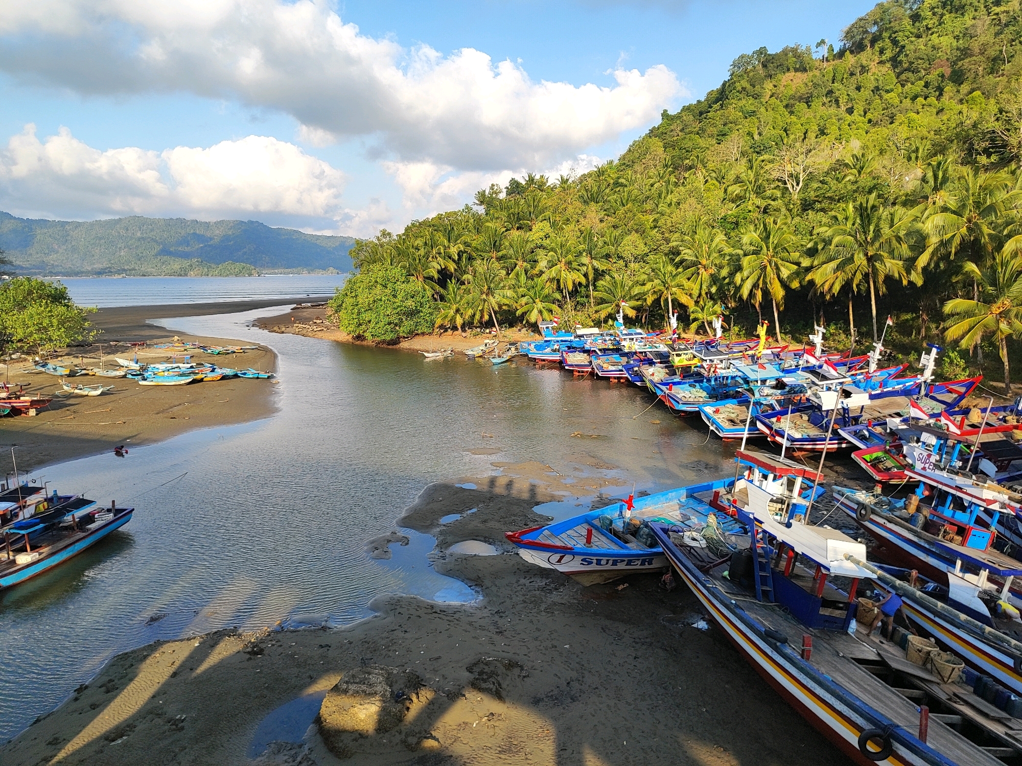 This is a high-angle, full shot of a tropical river mouth and coastline, likely in Prigi, Indonesia, given the presence of numerous fishing boats and palm trees characteristic of the region. The scene is dominated by a calm river flowing into a bay, with a shoreline lined with many colorful, traditional fishing boats. The boats are mostly of similar design, with blue, white, and red hulls and wooden decks, suggesting they are actively used for fishing. Some are docked on the sandy shore, while others are in the shallow water, with a few individuals visible tending to them or preparing for departure.
On the right side of the frame, a dense tropical forest with numerous palm trees covers a steep hillside, sloping down towards the water. The vegetation is lush and green, indicating a warm, humid climate. The water in the river and bay appears calm, with gentle ripples and reflections of the boats and sky. The sky is partly cloudy, with white clouds scattered against a bright blue background. In the distance, hills or mountains form the backdrop, partially obscured by haze. The beach area is a mix of sand and mudflats, exposed by the receding tide, with some debris and vegetation along the edges. The overall impression is of a working fishing village in a picturesque tropical setting.