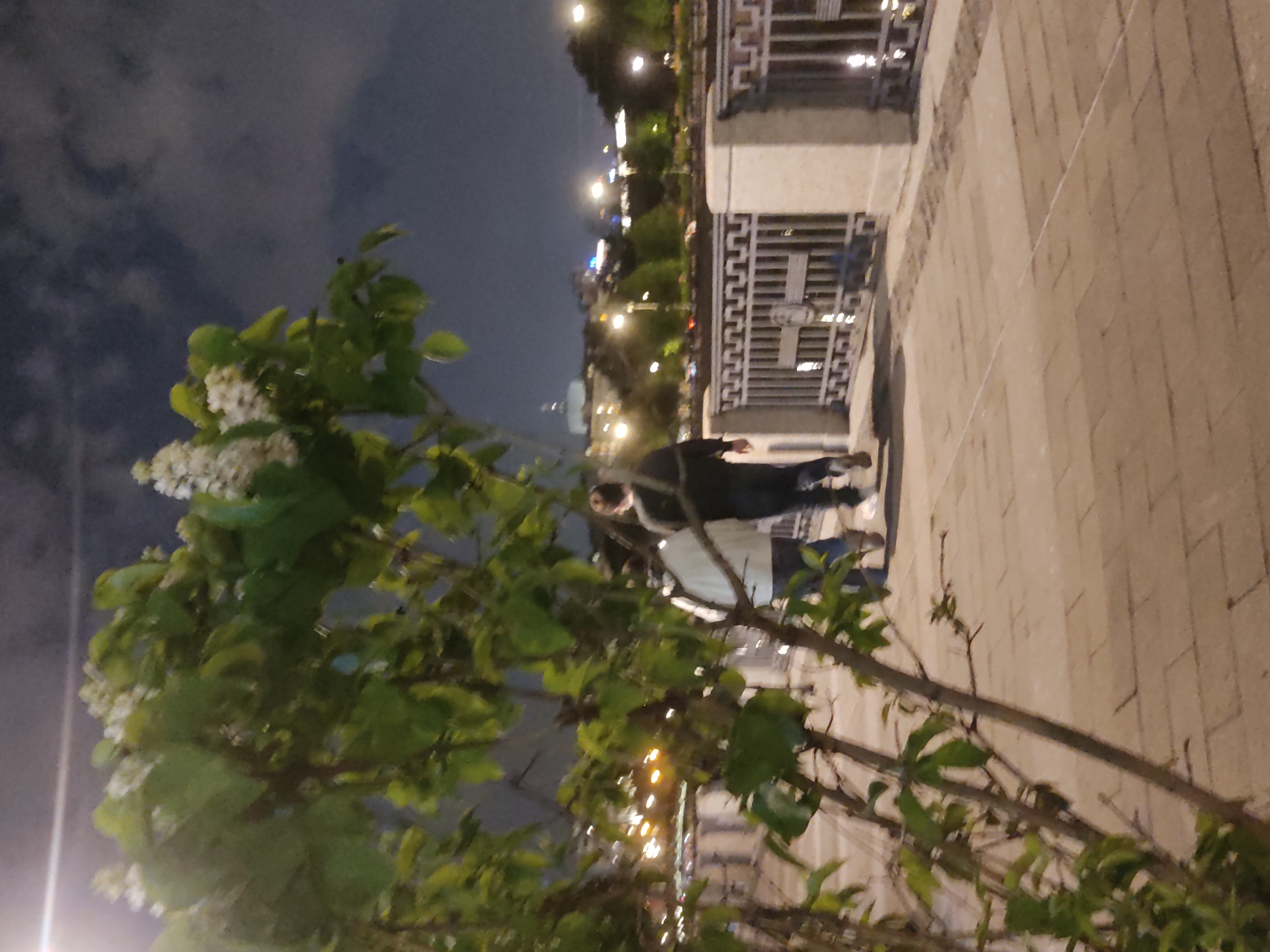 At night, a couple walks on a sidewalk near a decorative stone wall. Trees with white flowers in the foreground obscure the background of Moscow's city lights.