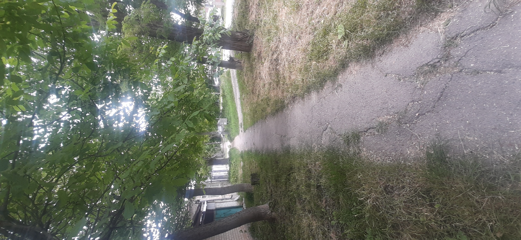 The image depicts a paved pathway running through a residential area in Yessentukskaya, Russia. The pathway is flanked by grass, some of which appears dry and sparse, and mature trees with lush green foliage that casts shadows. The trees are positioned along the pathway, suggesting a tree-lined street. On the left side of the pathway, there is a brick building with a light-colored facade and a teal-colored door or gate. The building appears to be a single-story structure. Further down the pathway, additional buildings and trees are visible, creating a sense of depth. The sky is overcast with sunlight filtering through the tree canopy, creating dappled light and lens flare effects. There are no people or vehicles immediately visible in the foreground or on the pathway. The scene suggests a quiet, possibly somewhat unkempt, residential street on a partly sunny day.
