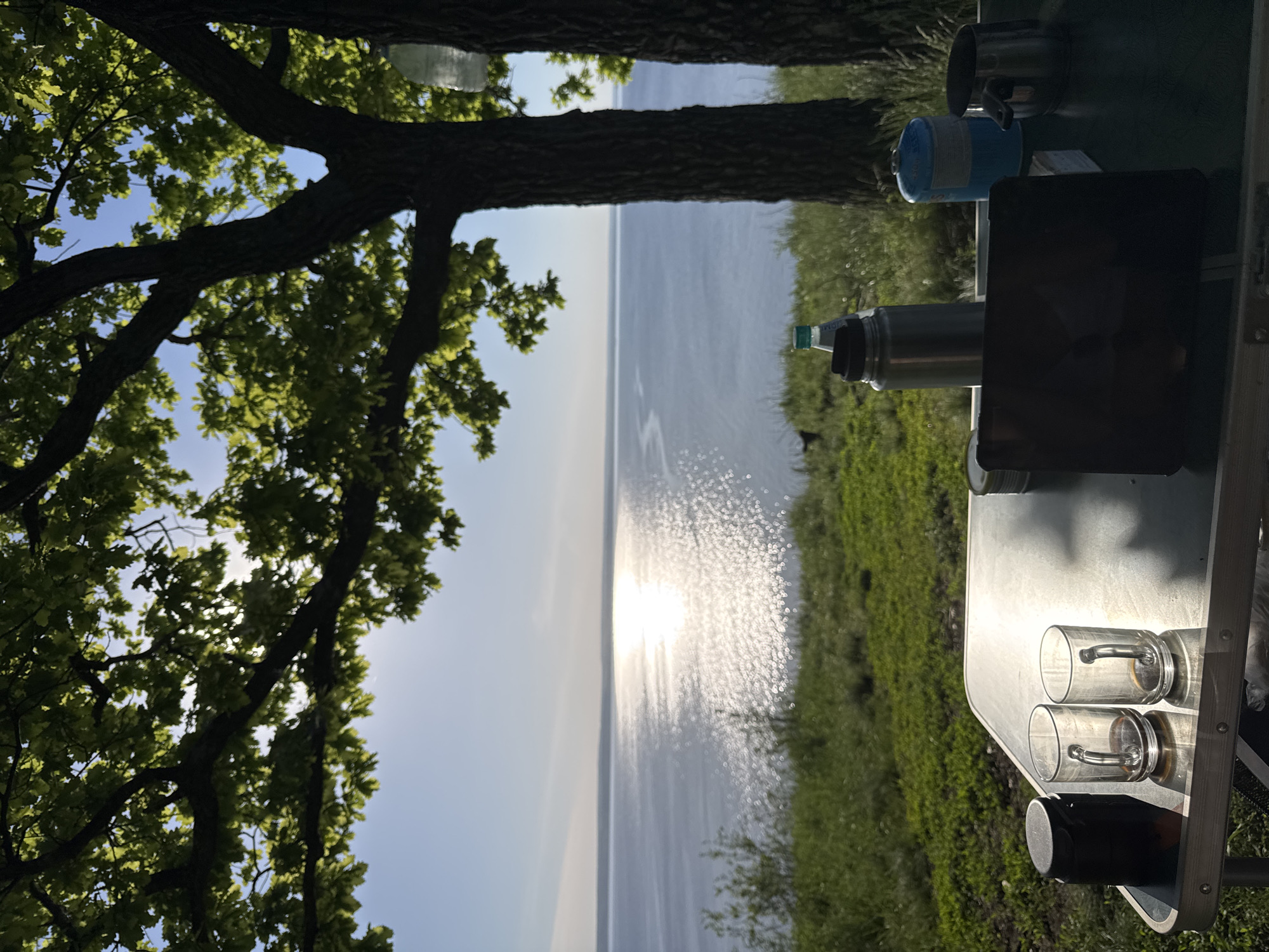 The image depicts a table set up outdoors, likely for a meal or gathering, with a scenic view of a large body of water in the background.
The table is made of a light-colored material, potentially metal or plastic, and is set with various items. There are two clear glass mugs, a black cylindrical object (possibly a thermos or container), a metallic thermos-like bottle, a small blue canister with a nozzle, and a dark electronic device (possibly a tablet or small TV).
The background features a large body of water, likely a lake or ocean, with sunlight reflecting on its surface. Along the shoreline is green vegetation, which suggests a grassy area or forest nearby. A large tree, with green leaves and a thick, dark trunk, partially frames the left side of the image.
The location is unknown.
