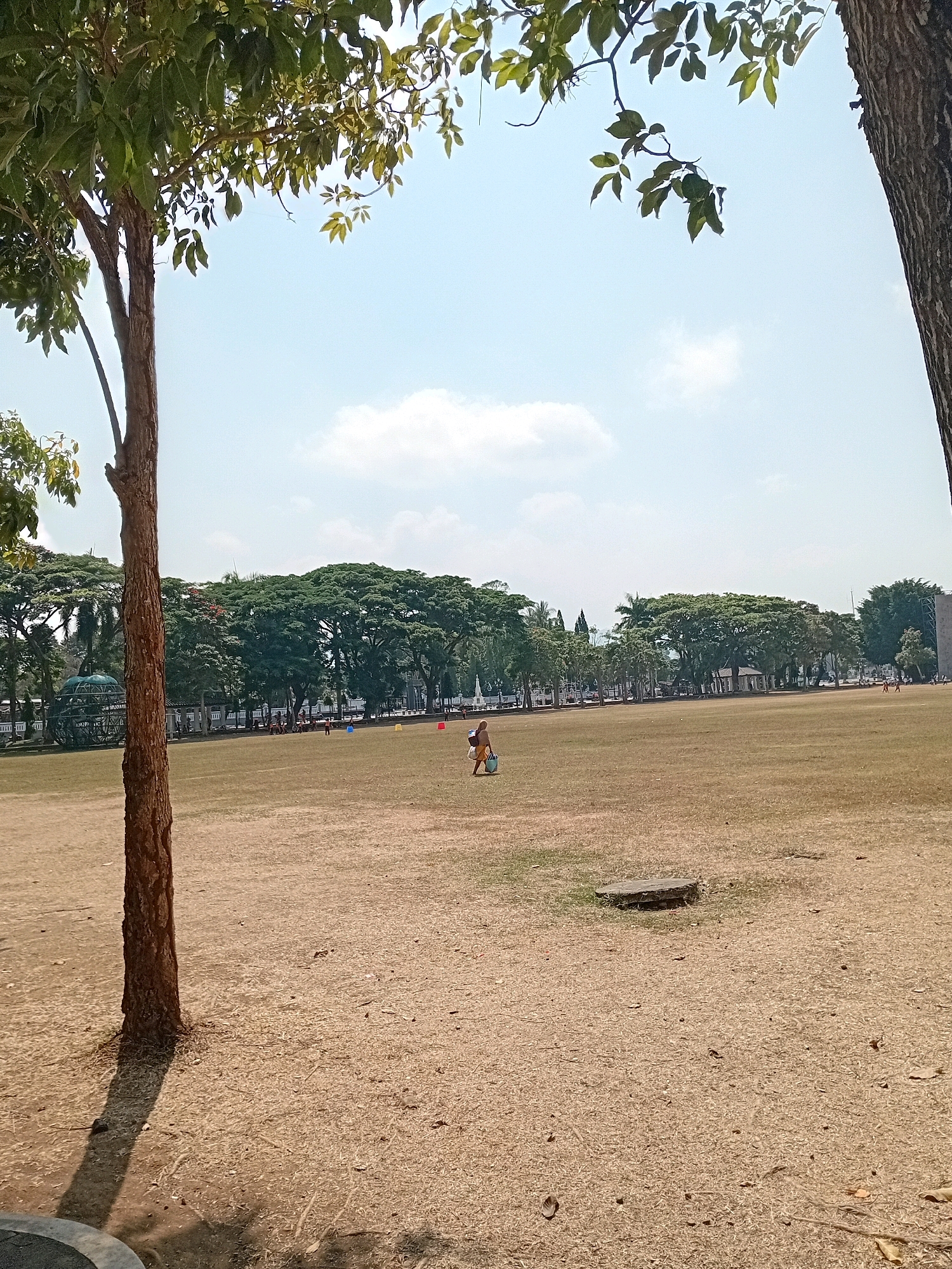 A wide, dry, grassy field is visible under a bright, partially cloudy sky. In the foreground, a large tree trunk is on the left, casting a shadow across the dry grass. In the middle ground, a lone individual in a yellow shirt is walking across the field. In the background, a line of lush green trees borders the field. Beyond the trees, there are several white buildings with ornate roofs, one of which is a domed structure. In the far distance, more trees are visible, suggesting the edge of the city. The scene appears to be a public park or recreational area within the city of Purworejo, Indonesia, possibly Alun-Alun Purworejo, given the characteristic combination of open field, mature trees, and colonial-era architecture.