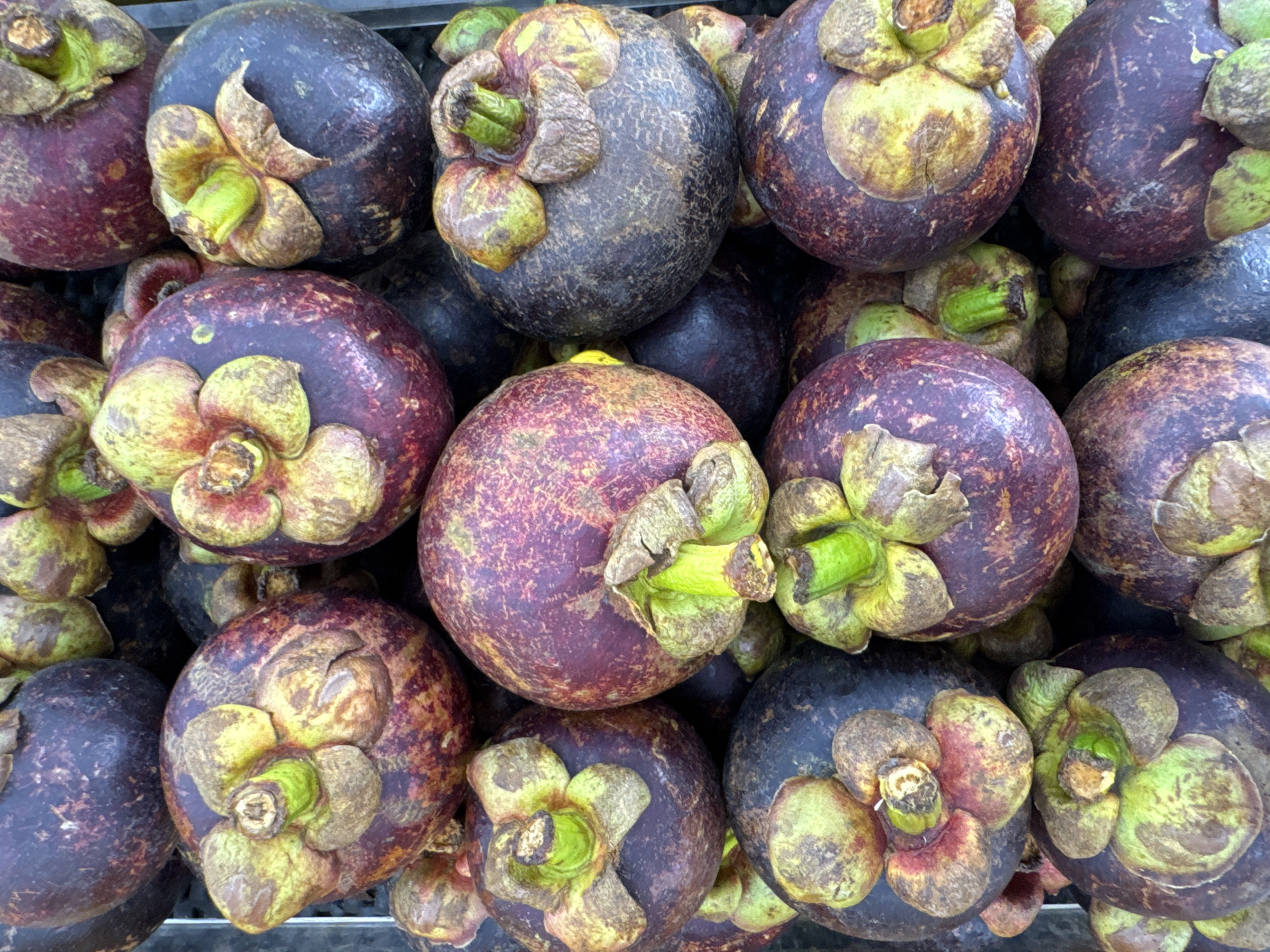 The image shows a close-up of a pile of mangosteens. The mangosteens are round with a dark purple or black rind and a green flower-like stem. The mangosteens appear to be sitting in a container or display. The image appears to have been taken in the city of Kuta Selatan, Indonesia.