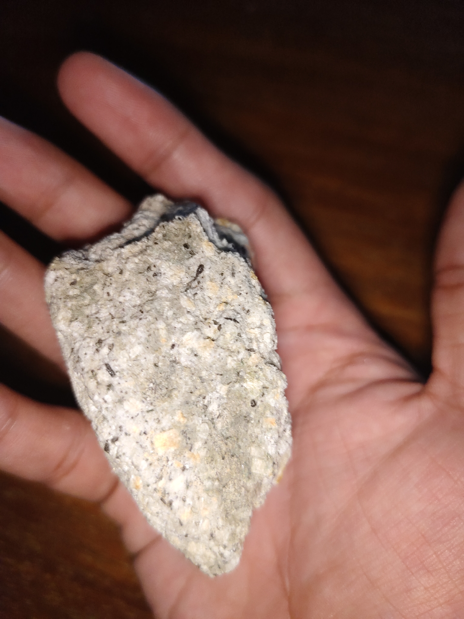 A human hand, displaying a light to medium brown skin tone, is prominently featured holding an irregularly shaped, light gray granular rock specimen. The rock's surface is rough and textured, characterized by a predominantly off-white or light gray matrix interspersed with small, dark mineral inclusions and occasional faint yellowish-beige specks. The fingers are visible supporting the object, which occupies the central-lower portion of the frame. The background is dark, out-of-focus, and appears to be a blurred wooden surface. The scene is located in Davao City, Philippines.