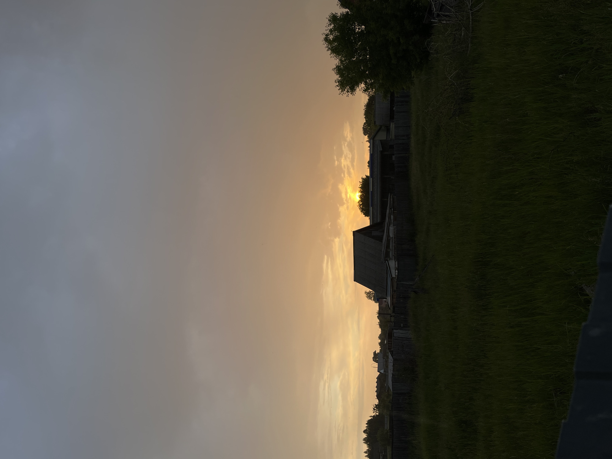 This image captures a rural landscape in Novocheremshansk, Russia, at sunset. The upper two-thirds of the frame are occupied by an overcast sky, transitioning from a muted blue-grey at the zenith to a vibrant gradient of orange, yellow, and gold hues near the horizon, illuminated by the setting sun. Scattered altocumulus clouds are visible, particularly in the warmer portions of the sky. The midground features a horizon line defined by silhouetted structures and vegetation. Multiple single-story residential houses with steep, gabled roofs are discernible in silhouette; one prominent house is positioned slightly left of center with a visibly corrugated roof. A wooden plank fence extends across the midground, separating the structures from the foreground. Deciduous trees and bushes appear as dark, indistinct masses against the brightly lit sky, with a denser cluster on the far left. The sun itself is not directly visible but manifests as an intense, localized golden glow originating from behind the midground structures and trees on the left, indicating its position near or below the horizon. The lower one-third of the image consists of a dark, overgrown field of tall, unkempt grass, appearing as a dense, textured mass due to the low light conditions. A dark, indistinct linear object, likely the top of a low fence or wall, runs along the extreme bottom edge of the frame. No human figures, animals, or explicit actions are present.