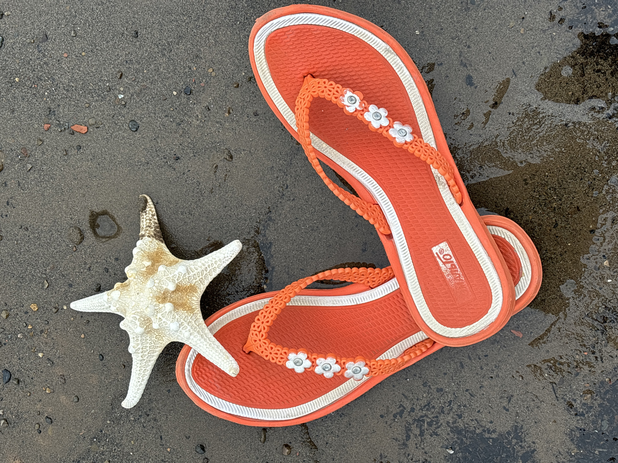 The image shows a pair of orange flip-flops with white flower decorations and a white starfish lying on a wet, gray sandy surface. The flip-flops are stacked on top of each other. The logo "O'LALO" is visible on one of the flip-flops. The background appears to be wet sand with some small pebbles scattered around.
Since it is requested to locate where this photo was taken in Chaikovsky, Russia, based on the available information it is impossible. No landmarks are present in the image.