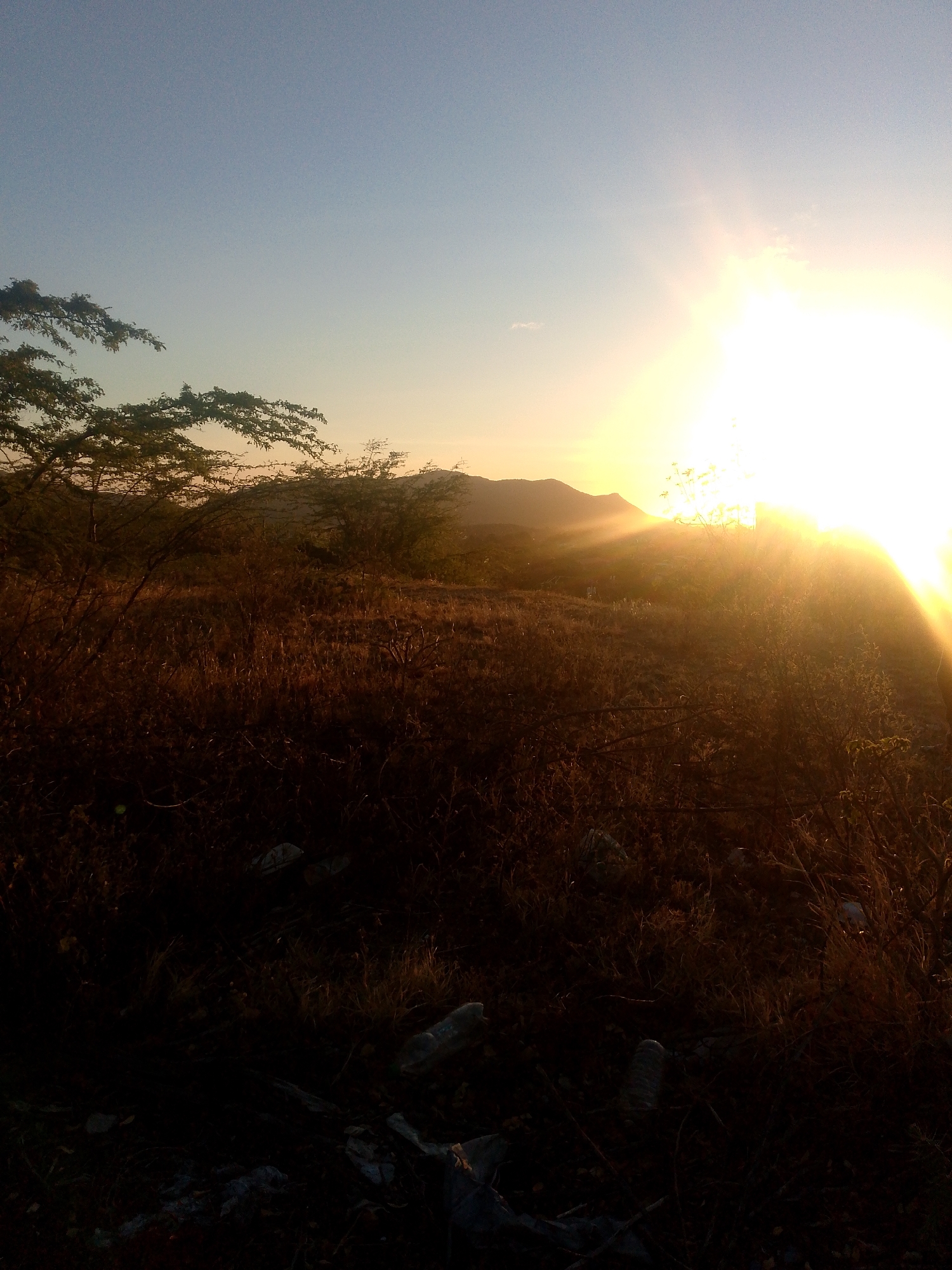 The image shows a landscape at sunset in what appears to be a field near Juan Griego, Venezuela. The sun is setting behind a hill, creating a strong glare and illuminating the sky with golden light. In the foreground, there's dry grass and some trees, partially obscuring the view. Scattered on the ground are pieces of what appear to be litter, including plastic bottles. The overall scene suggests a natural environment on the outskirts of the city.