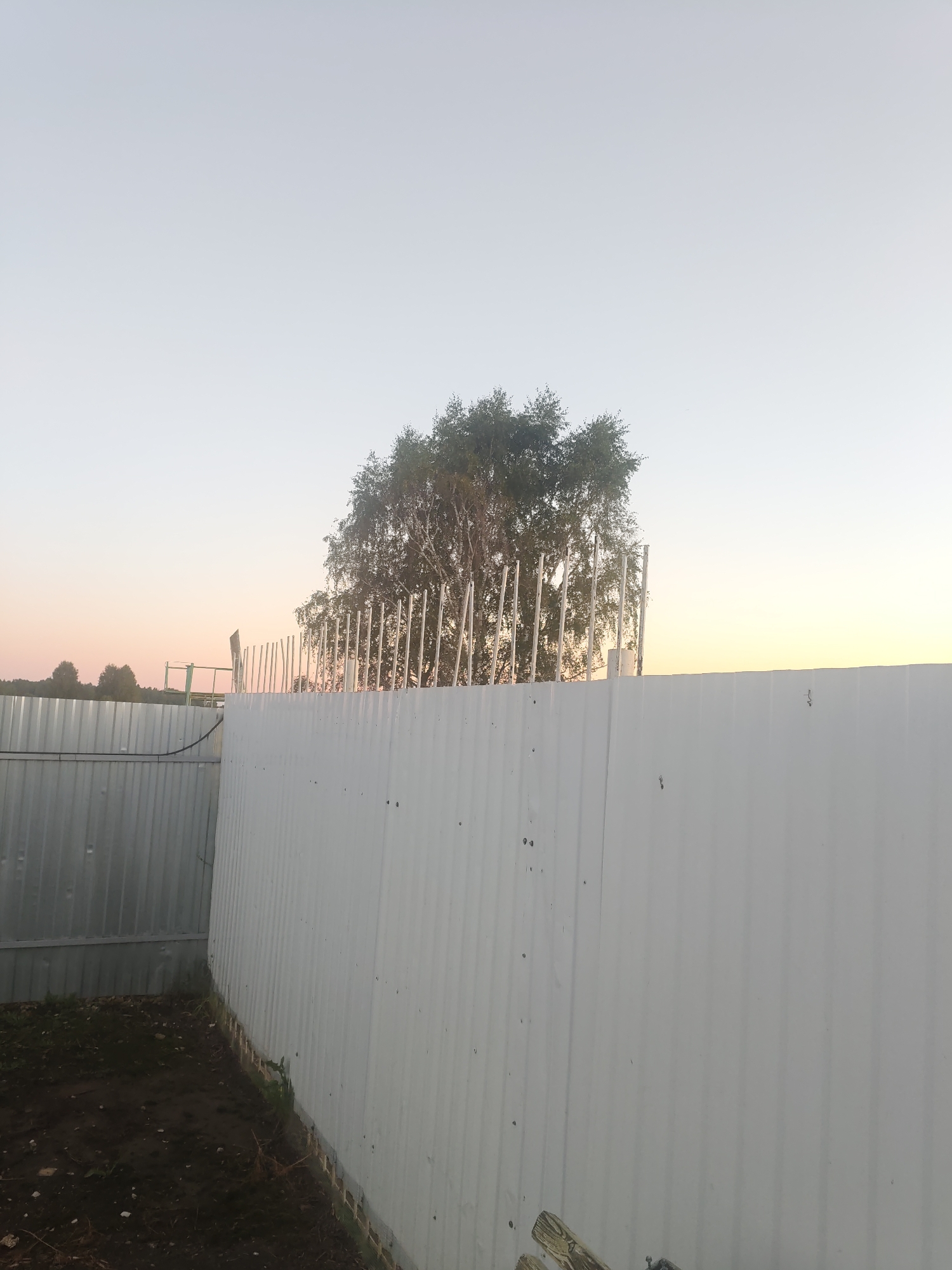 The image depicts an outdoor scene with a clear sky transitioning from pale pink to light blue. In the foreground, a white corrugated metal fence runs horizontally across the frame. To the left of this fence, another section of corrugated metal, appearing silvery, forms a corner. The ground in the lower left is dark, with some scattered debris and vegetation.
Behind the white fence, a cluster of trees with light-colored bark and green foliage is visible. Several thin, vertical white poles are spaced closely together in front of these trees, creating a linear pattern. In the middle distance, some darker trees are silhouetted against the sky. A small section of a green metal structure, possibly part of a scaffolding or a temporary support, is visible behind the left side of the white fence. The overall setting suggests a construction site or an area undergoing development, possibly on the outskirts of the city of Platoshino, Russia, given the trees and the open sky. There are no people or animals in the frame.