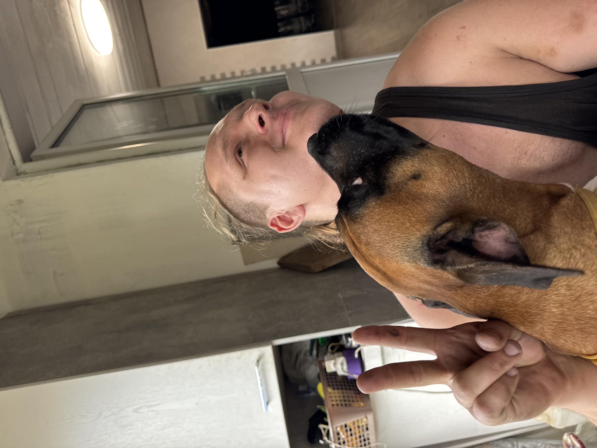 The media file shows a close-up, low-angle shot of a person and a dog. The person, whose face is partially obscured, appears to be leaning in towards the dog. The dog, a brindle-colored breed, is nuzzling the person's cheek. The person is wearing a black tank top. Their hand is visible in the foreground, making a peace sign gesture. The background suggests an indoor setting, possibly a kitchen or a utilitarian room, with gray countertops and white cabinets. A light fixture is visible in the upper left, emitting a warm glow, which could indicate it is nighttime or the interior lighting is on. The overall mood seems intimate and playful, with the interaction between the person and the dog being the central focus. There is no visible text in the image.