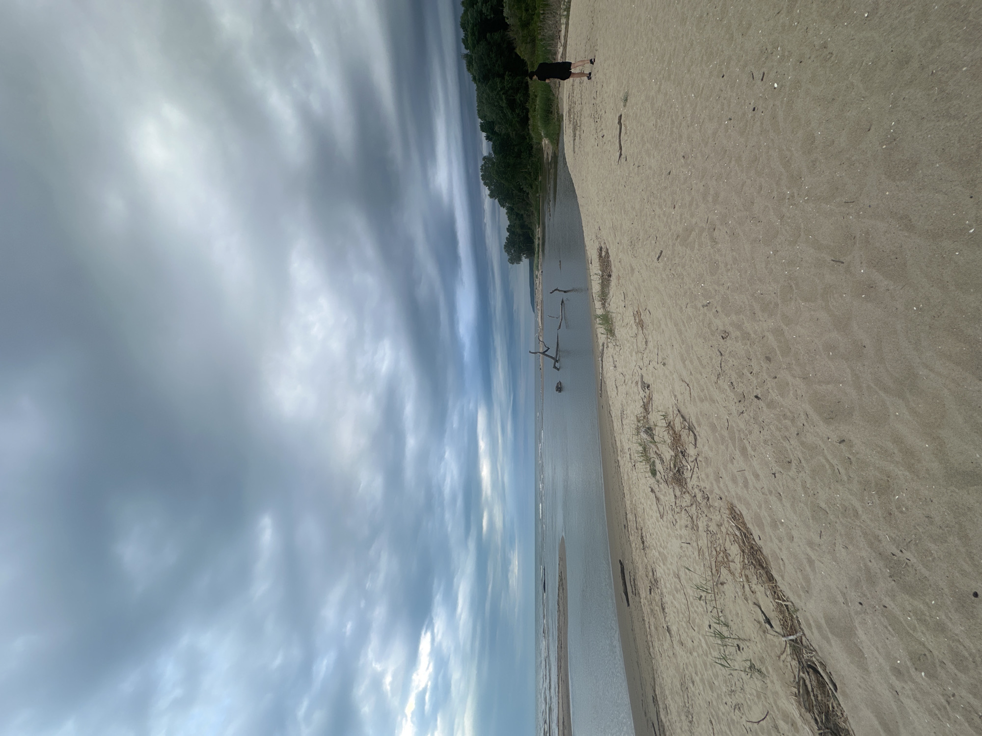 The image shows a beach in Bliznatsi, Bulgaria. The sky is filled with streaky, gray and white clouds. A strip of green trees borders the beach. A person stands on the sand near the trees. A body of water separates the trees and sand from the sky. Scattered driftwood is visible in the water. The sand is light brown and contains debris.