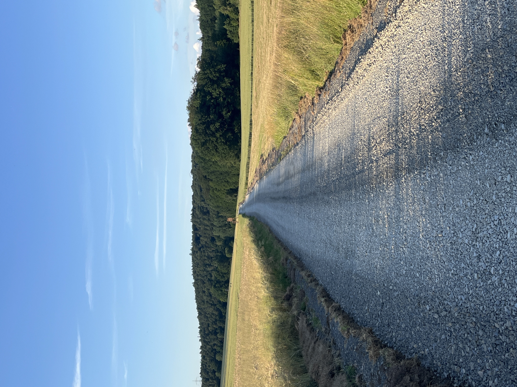 The image depicts a long, narrow gravel road stretching into the distance. The road is flanked on the left by a field of dry, golden grass that transitions into a dense forest of dark green trees. On the right, the road's edge is bordered by dry grass and dirt. The sky above is a clear, bright blue with a few wispy white clouds. The sun is low in the sky, casting long shadows across the road, suggesting it is either early morning or late afternoon. A small wooden structure, possibly a hunting blind or observation tower, can be seen in the distance within the field. The overall scene conveys a sense of peaceful isolation and a rural setting. The location is identified as Neustadt, Germany. There is no visible text in the image.