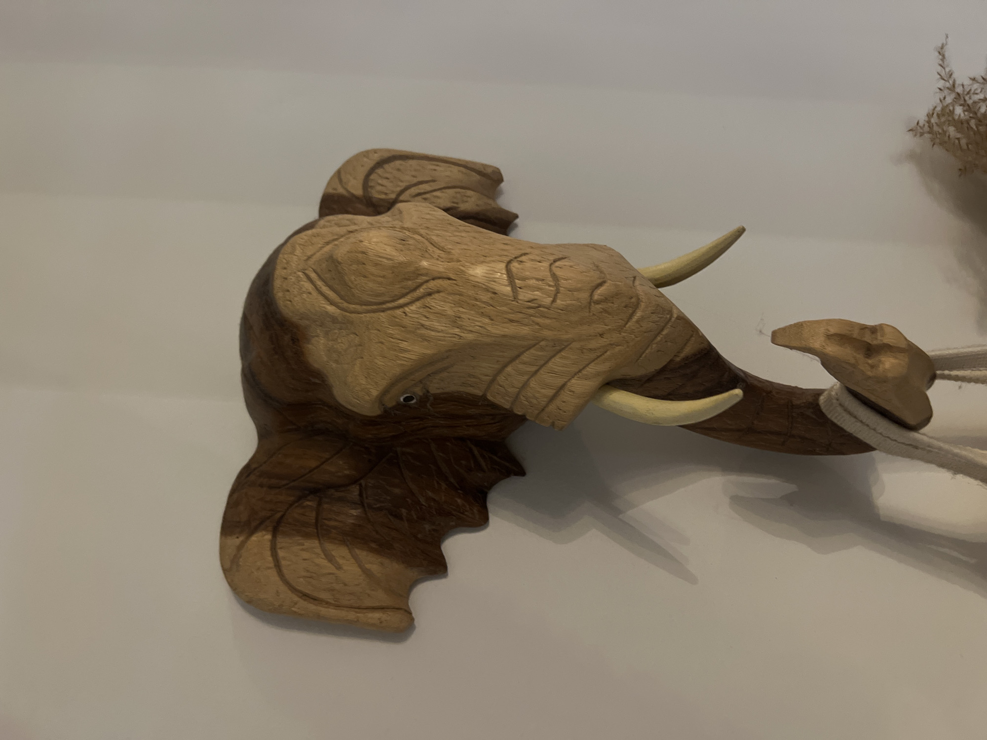 A wooden carving of an elephant head is mounted on a white wall. The carving is detailed, showcasing the elephant's features, including the wrinkled skin of its trunk, small eye, and curving tusks. The sculpture has a two toned appearance with a darker wood grain defining the lower part of the body. A light-colored rope is attached to the trunk. The location is Ponte de Lima, Portugal. A beige vase with dried wheat can be seen in the background.