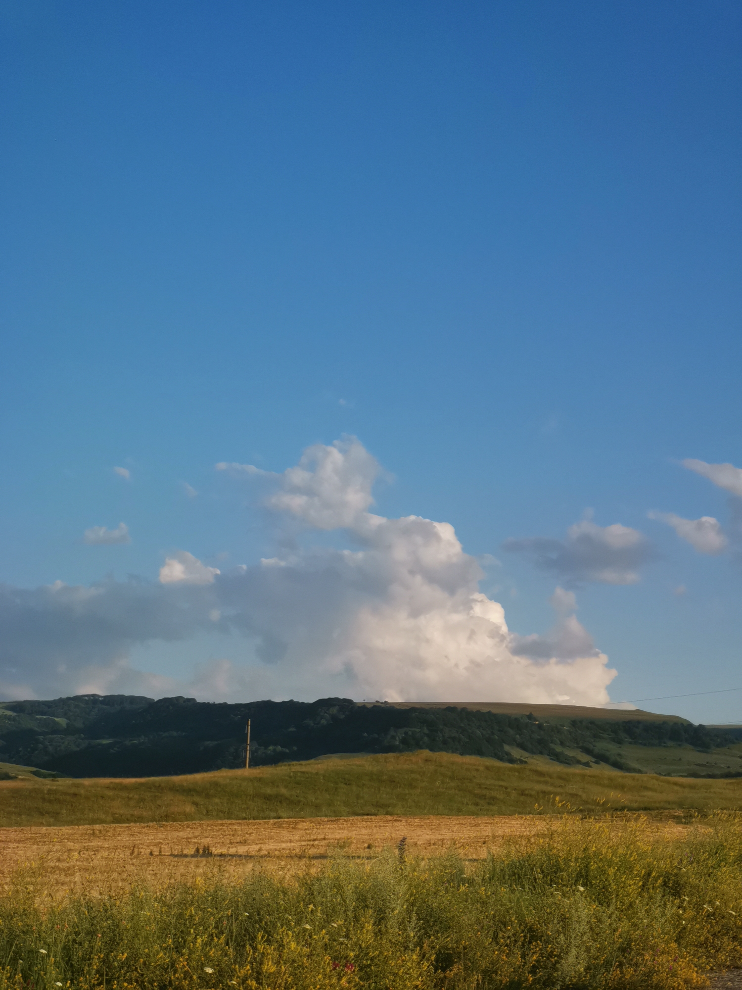 The image depicts a rural landscape with a clear blue sky dominating the upper portion. In the middle ground, rolling green hills are visible, with a dark green forested area along the crest of the furthest hill. A solitary utility pole stands vertically in the middle of a lighter green field. In the foreground, a field of dry, golden crop stubble extends horizontally, with a dense growth of green and yellow wildflowers in the immediate foreground. A few scattered white and pink wildflowers are interspersed within the greenery. The scene suggests an agricultural area, possibly in or around Kubina, Russia, given the context of the prompt, characterized by open fields, hills, and a vast sky. There are no people or animals visible in the image. The lighting indicates it is likely daytime, with the sun casting a warm glow on the landscape. The clouds are white and puffy, clustered towards the center-left of the sky.