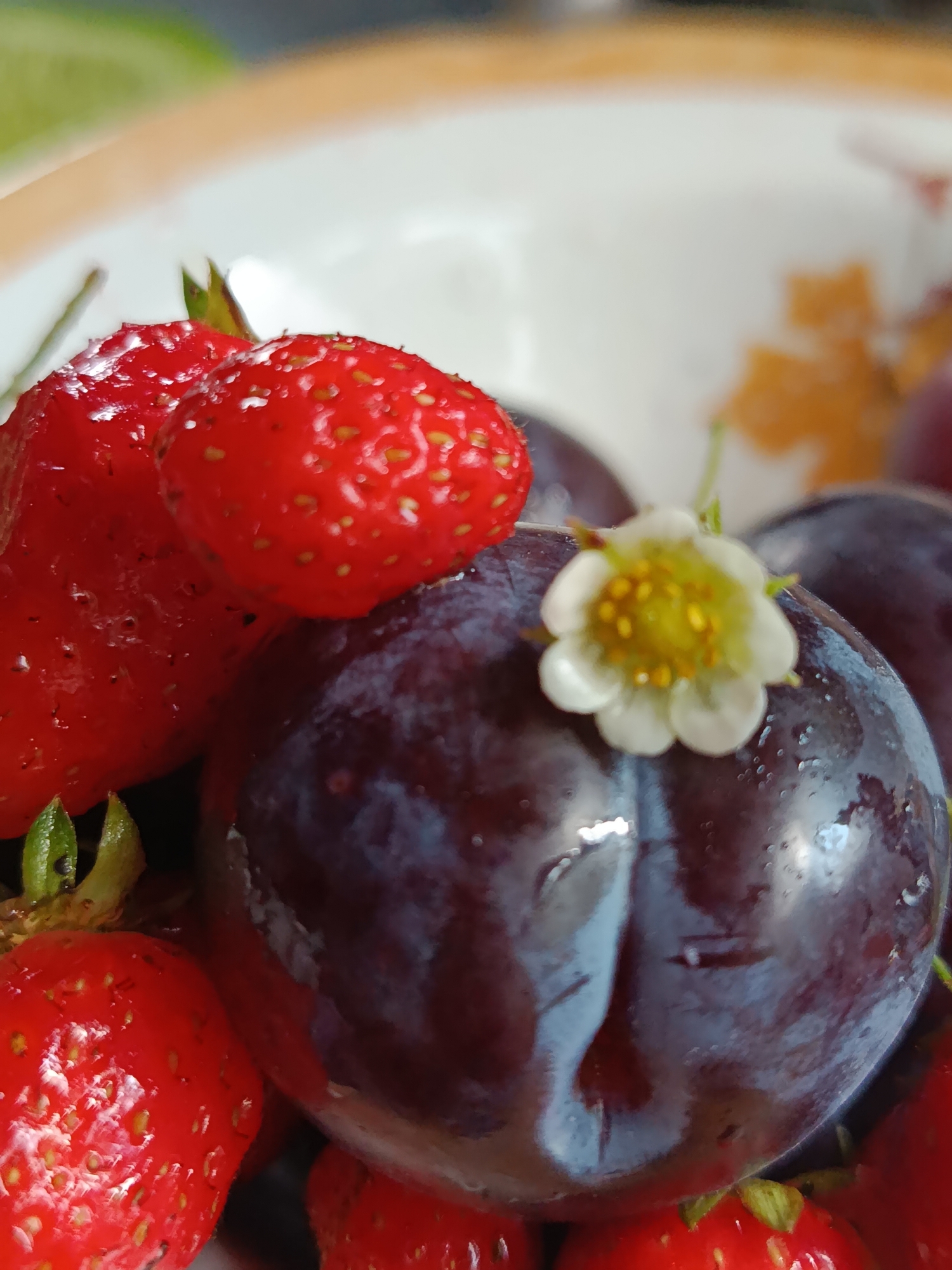 A close-up, macro shot captures a still life arrangement of fresh strawberries and plums, possibly in a bowl, with a delicate white strawberry blossom adorning one of the plums. The vibrant red of the strawberries contrasts with the deep purple hue of the plums, some of which glisten with water droplets, suggesting they have been recently washed. The strawberries are plump and textured with their characteristic seeds. The small white blossom, with its yellow pistil and stamens, adds a touch of delicate beauty to the composition. The background is soft-focused, hinting at a neutral surface and perhaps the edge of a plate or bowl, with hints of other fruits or objects out of focus. The lighting appears to be natural, highlighting the textures and moisture on the fruit. The scene suggests a preparation for consumption or display of fresh produce, evoking a sense of natural freshness and simple beauty. The location in Verea, Russia is not discernible from the image itself.