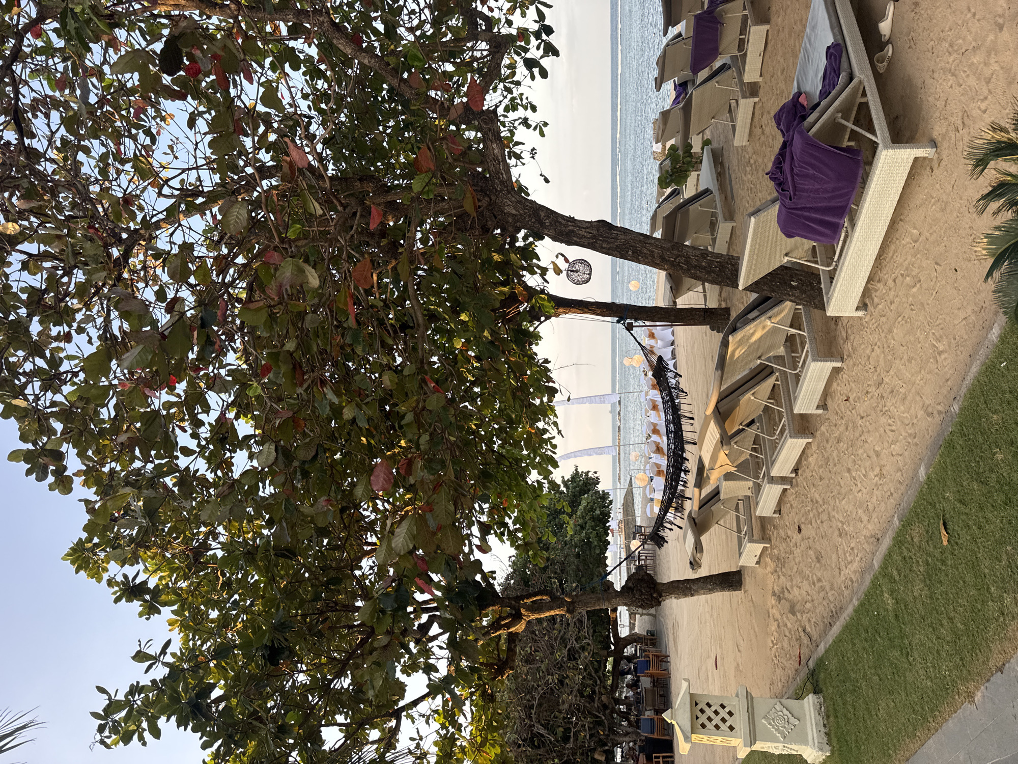 This image depicts a tranquil beach scene in Kuta Selatan, Indonesia, at dusk. In the foreground, several white woven lounge chairs with beige cushions are arranged on the sand, some with purple towels draped over them. A single pair of white flip-flops rests on the sand near one of the chairs. To the left, a decorative stone lantern with intricate carvings stands on a patch of green grass.
Behind the lounge chairs, two trees with lush green and reddish leaves provide shade. A hammock with a patterned netting is strung between two trees. Further back, a table setting with white chairs and orange sashes suggests an event or dining area. White flags or banners are visible behind the tables, and the calm ocean stretches to the horizon under a pale sky. The overall ambiance is peaceful and serene, typical of a beach resort setting.