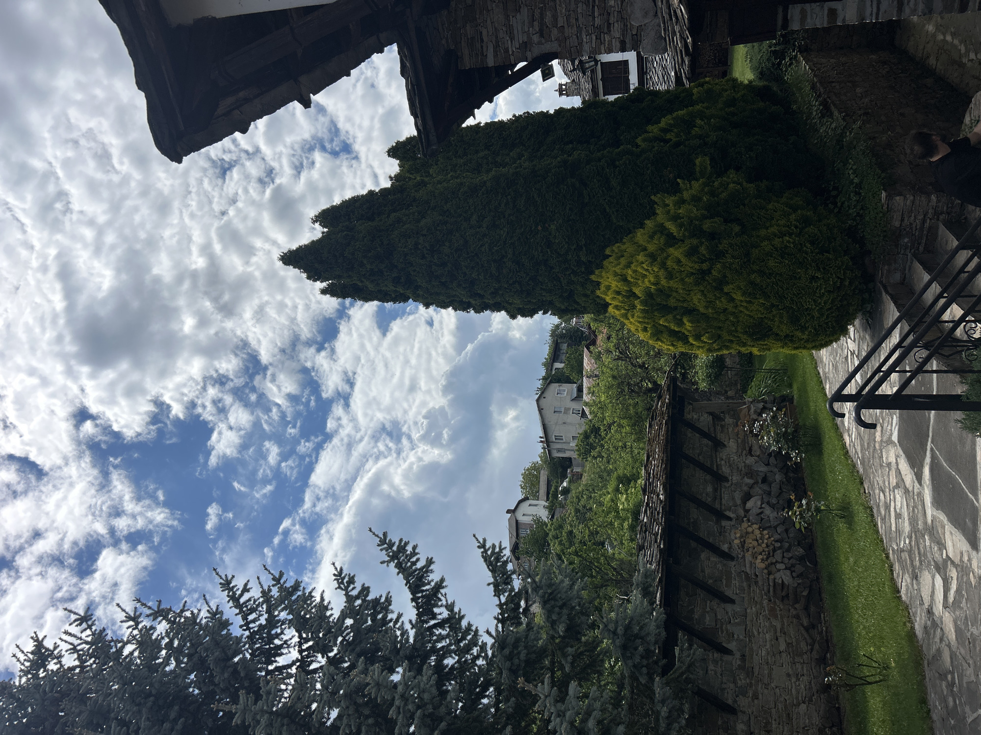The image captures a scene in Dolen, Bulgaria. The viewpoint is looking upwards, presenting a cloudy sky with a mix of white and blue. Buildings are visible in the background, nestled amongst green foliage. A tall, columnar evergreen tree stands prominently, alongside a rounder, more compact bush. A stone building with a dark roof is in the foreground. A staircase with black metal railings is adjacent to a stone-paved path with grass edging. Several blue fir trees stand out in the very bottom of the image.