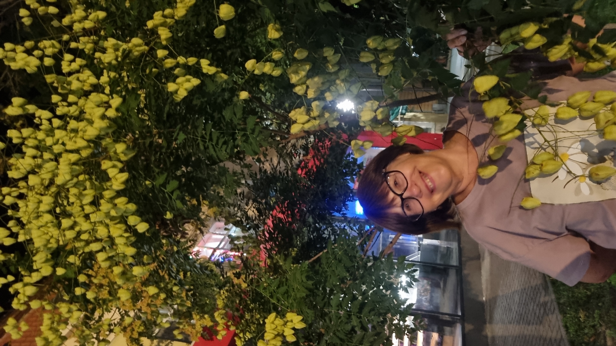 A woman with short brown hair and glasses is standing outdoors at night, smiling at the camera. She is wearing a light purple t-shirt with a graphic print of flowers on the front. The woman is positioned in front of a tree with numerous hanging, pale yellow, lantern-shaped seed pods. In the background, there are illuminated buildings with red and blue lights, suggesting an urban setting. The ground appears to be paved. This image was captured in the city of Berehove, Ukraine.