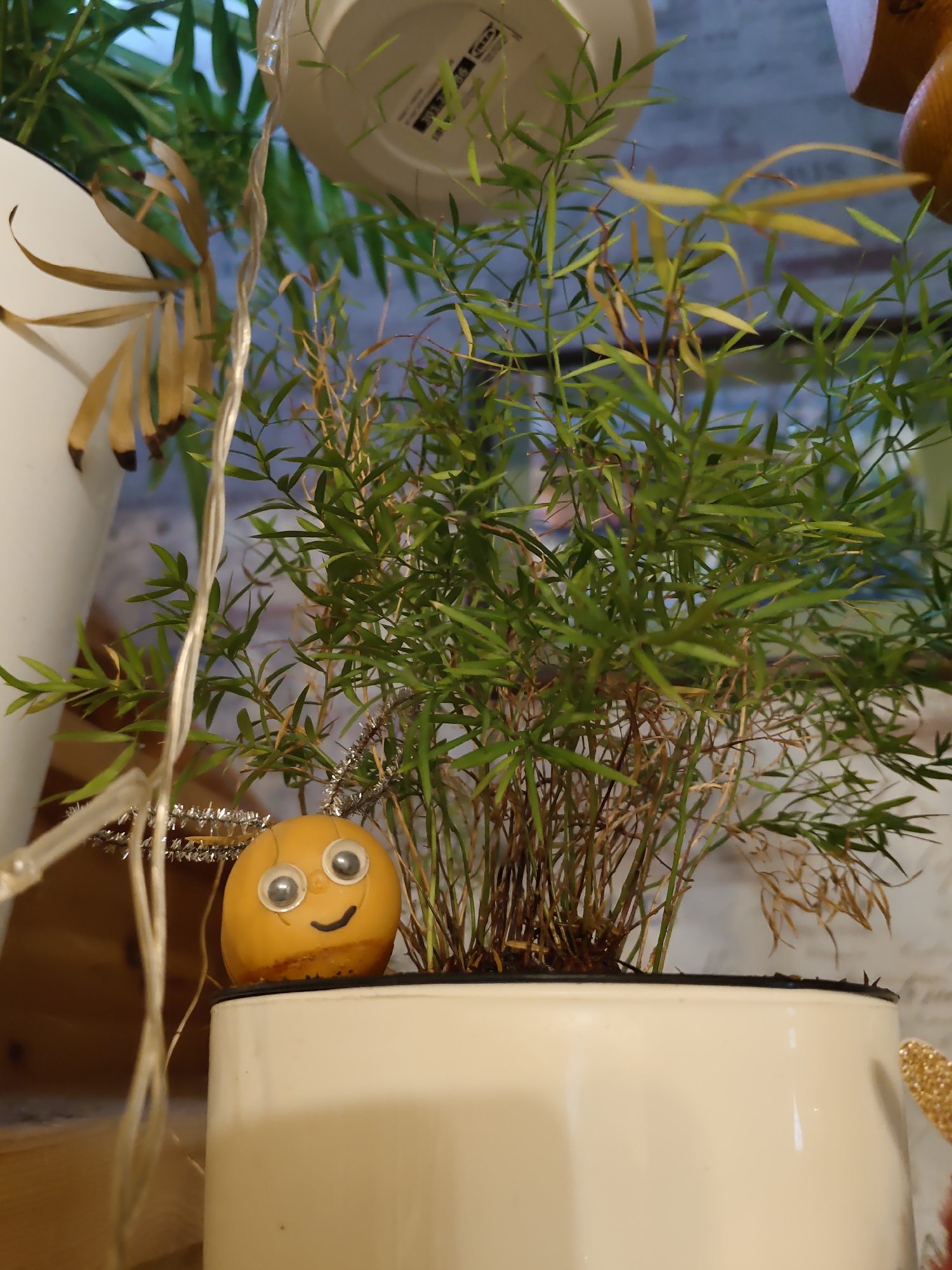 A close-up, slightly angled shot shows a potted plant with thin, green, needle-like leaves and a few dry, brown stems. The plant is in a white pot, which is partially visible. In front of the plant, on the rim of the pot, sits a small, round, orange decorative item with googly eyes and a drawn-on smile. A thin, silver, tinsel-like material wraps around the top of the decorative item and extends upwards, partially obscured by the plant's foliage. To the left of the plant, a white pot is visible, containing some dried, brown leaves. A thin, clear string, possibly from a light fixture, hangs down on the left side of the frame. The background is blurred, showing hints of what appears to be a brick wall and some greenery, suggesting an indoor setting. The lighting is soft, with the focus on the plant and the decorative item. There is no indication of the city of Rostov-on-Don, Russia, in the image.
