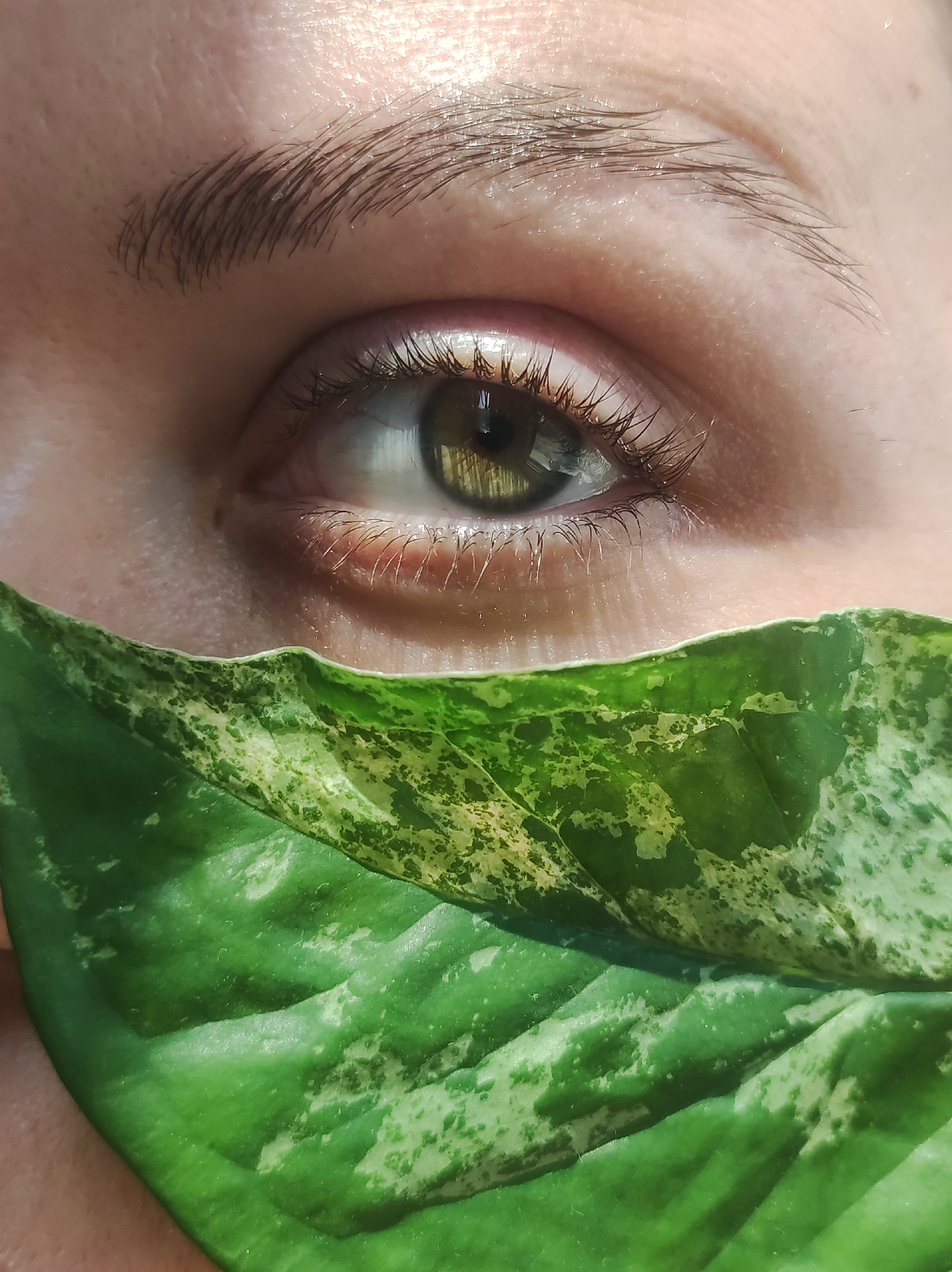 A close-up photograph shows a human eye with an eyebrow above and a green and white variegated leaf partially obscuring the lower part of the face. The eye is hazel-colored, and the surrounding skin appears fair. The leaf is positioned horizontally, with the bottom of the eye socket directly above its upper edge. The eyebrow is brown. No setting or location in Chaikovsky, Russia is detectable within the visual information in the image.