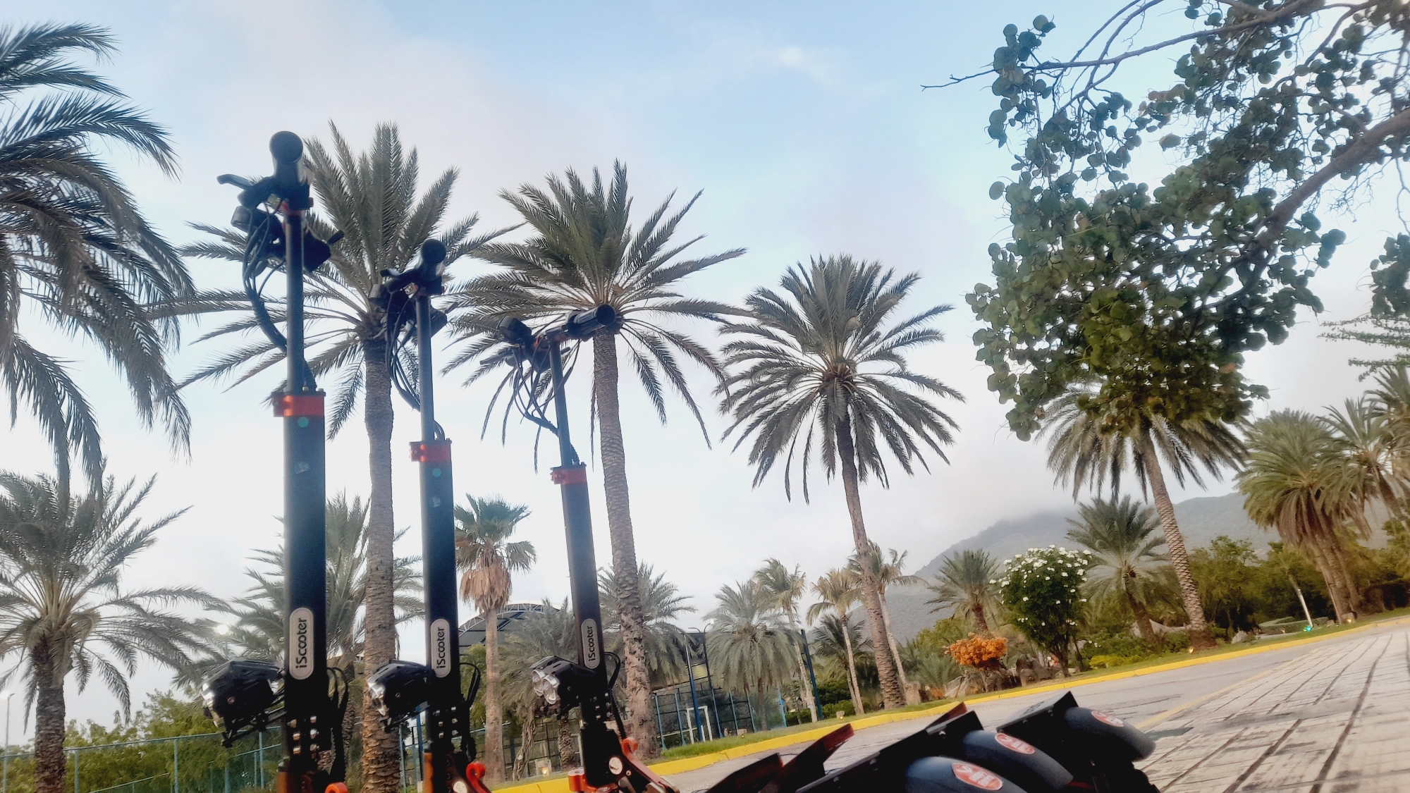 The image depicts an outdoor scene with several electric scooters parked in the foreground, lined up along a paved walkway. The scooters are black with red accents and have the brand "iScooter" visible on their shafts. Behind the scooters, a line of palm trees stretches across the frame, with their fronds creating a dense canopy against a partly cloudy sky. In the background, mountains are visible, shrouded in mist. The overall environment suggests a tropical or subtropical location, likely a park or a promenade. The scene is static, with no people present and the scooters appearing to be stationary. The lighting indicates it is daytime, likely morning or late afternoon due to the soft light. The image appears to be taken from a low angle, looking upwards towards the palm trees and sky. It is possible this is a scene from a recreational area in the city of Pedro González, Venezuela, given the prevalence of palm trees and mountainous terrain in such coastal and tropical regions of Venezuela.