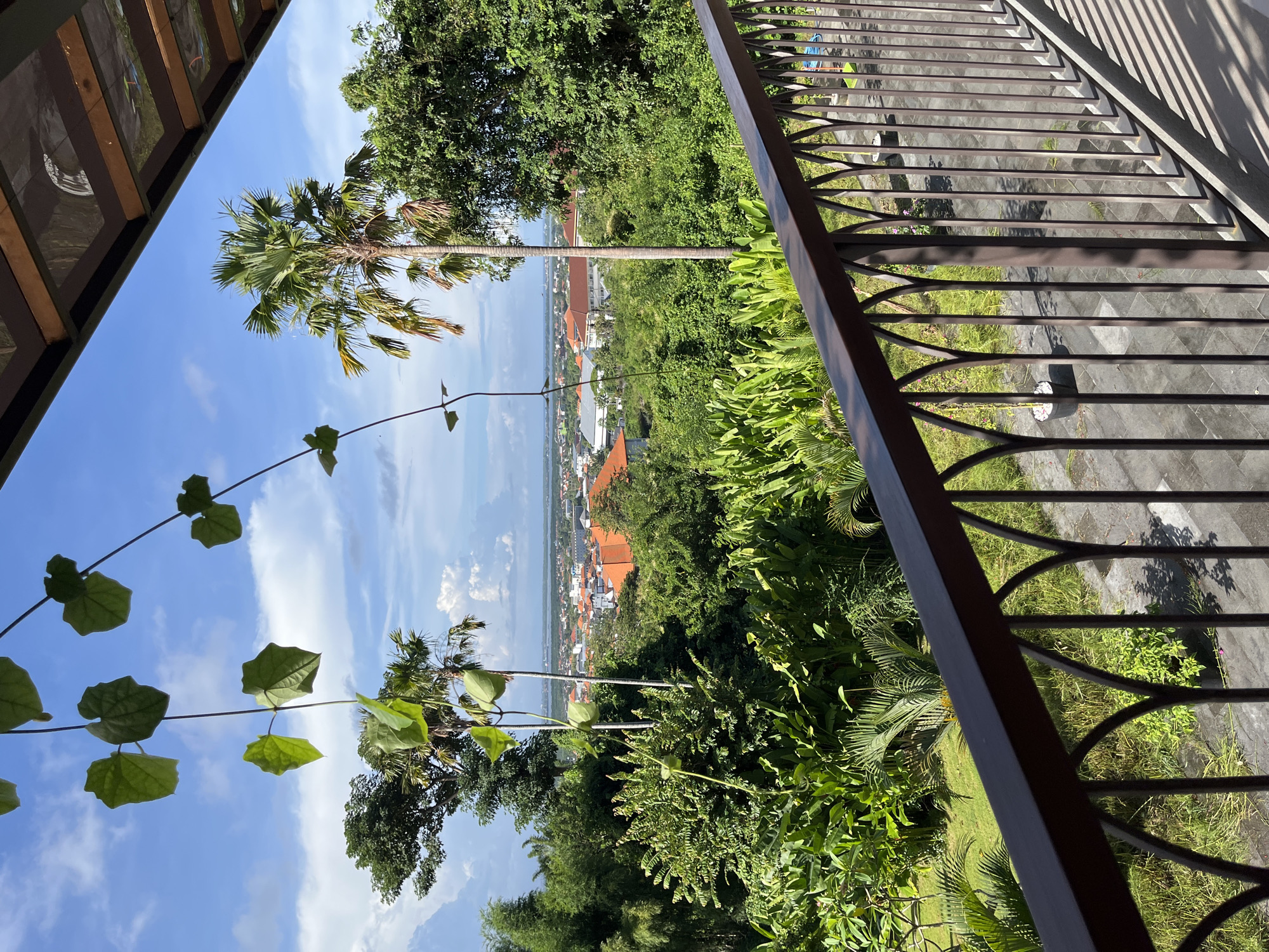 View from a high point in Kuta Selatan, Indonesia, overlooking a lush, tropical environment with buildings and a glimpse of a water body in the distance. The foreground features a metal railing on the right, vegetation and a vine with large green leaves on the left, and a palm tree is centered. The sky is blue with scattered clouds.