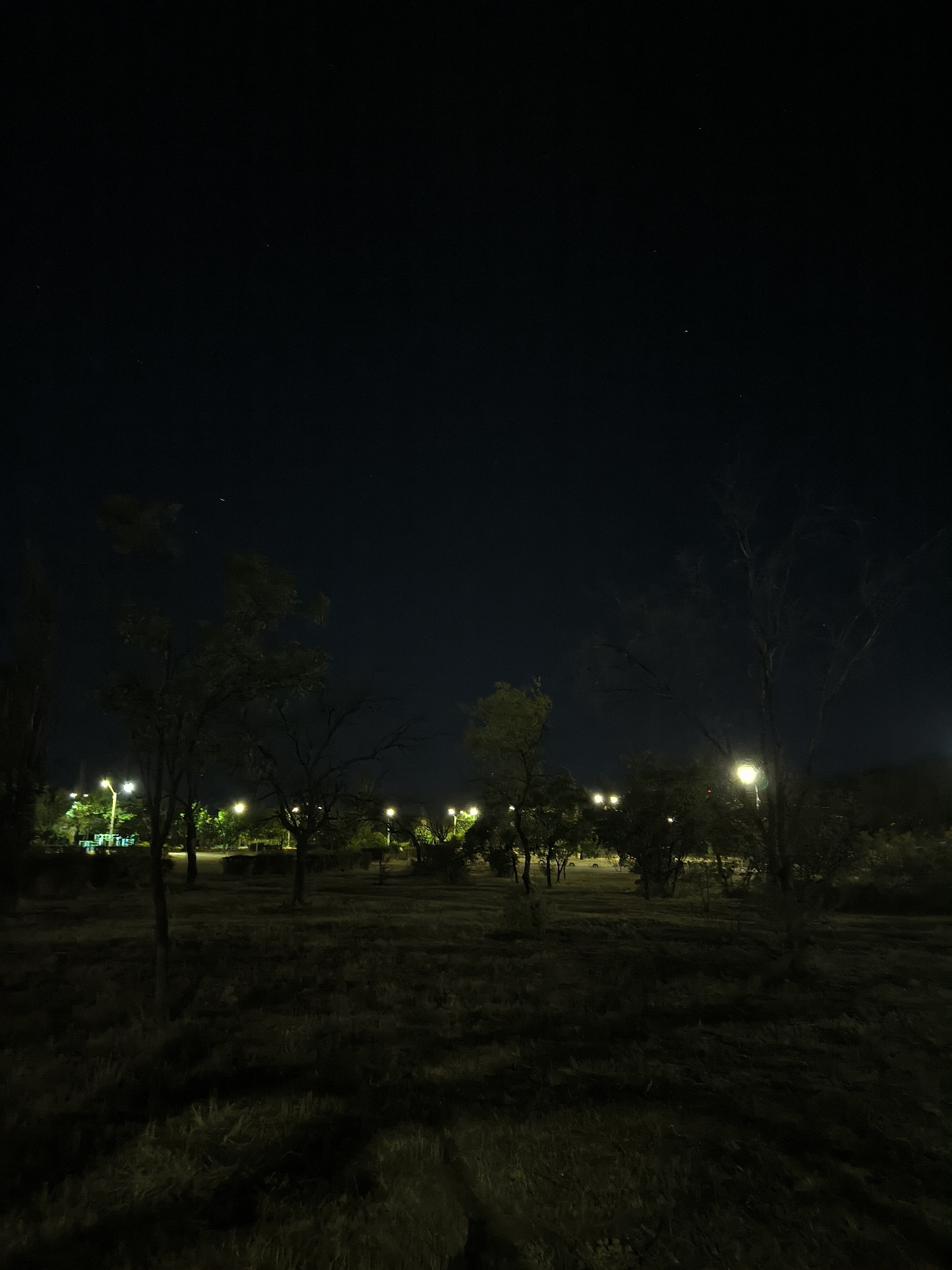 An outdoor nighttime shot depicts a park-like area illuminated by streetlights scattered throughout the scene. Several trees, some with bare branches and others with foliage, dot the landscape. The ground is covered in dry grass and low-lying vegetation. In the background, beyond the trees, there are lights suggesting buildings or infrastructure. The sky above is dark, with a few faint stars visible. The overall impression is one of a quiet, dimly lit urban park after dark.