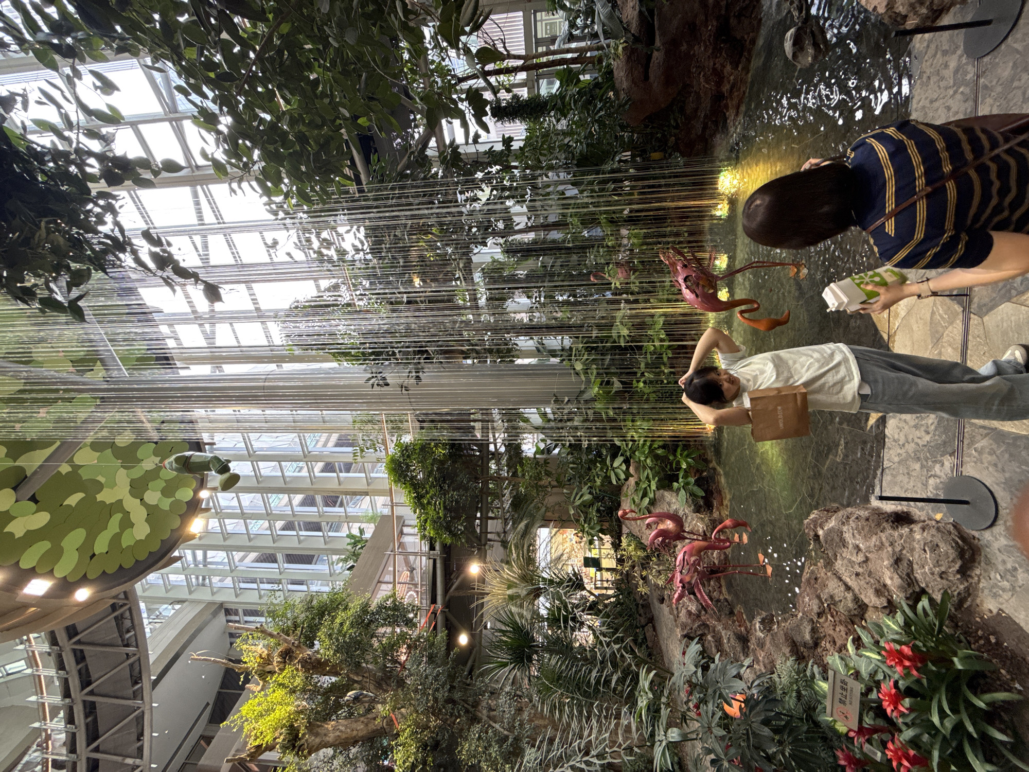A photograph taken inside a large indoor botanical garden in Liangjiang, China, shows two individuals near a man-made water feature with artificial flamingo sculptures. One person, wearing a striped shirt, holds a small carton and appears to be taking a picture of the flamingos. Another person in a white shirt holds a brown bag and looks at the water. The environment is lush with a variety of plants. Overhead, a grid of metal beams and glass panels forms the ceiling of the botanical garden, allowing for abundant natural light. From the ceiling hang numerous strands of thin material, creating a rain-like effect.
