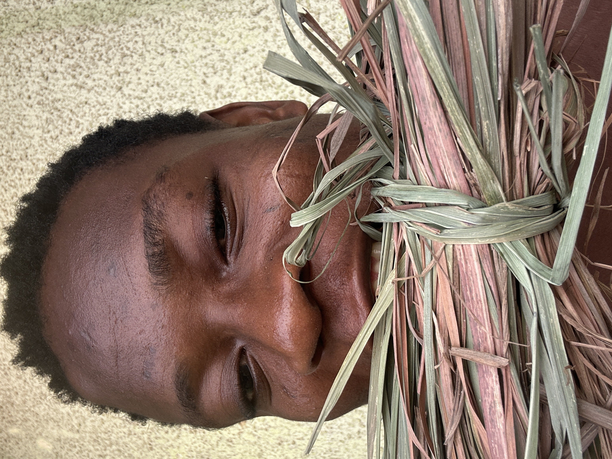 A close-up shot of a Black male's face, with his left side facing the viewer, is positioned next to a bundle of long, thin green and reddish-brown dried leaves. The leaves are tied together with a light green band. The man has short, dark hair, and his eyes are closed. The background is a speckled beige color. The image's location is unknown.