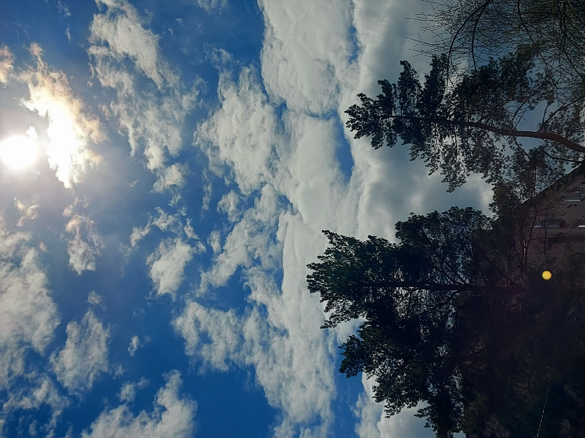 The image captures a sky in Chaikovsky, Russia, displaying a vibrant blue hue interspersed with scattered white clouds. The sun is prominent on the left, partially obscured by clouds. Silhouetted against the sky are the dark outlines of pine trees and a glimpse of a building, likely a residential structure, in the background on the right side. A yellow orb is present in the lower right corner.